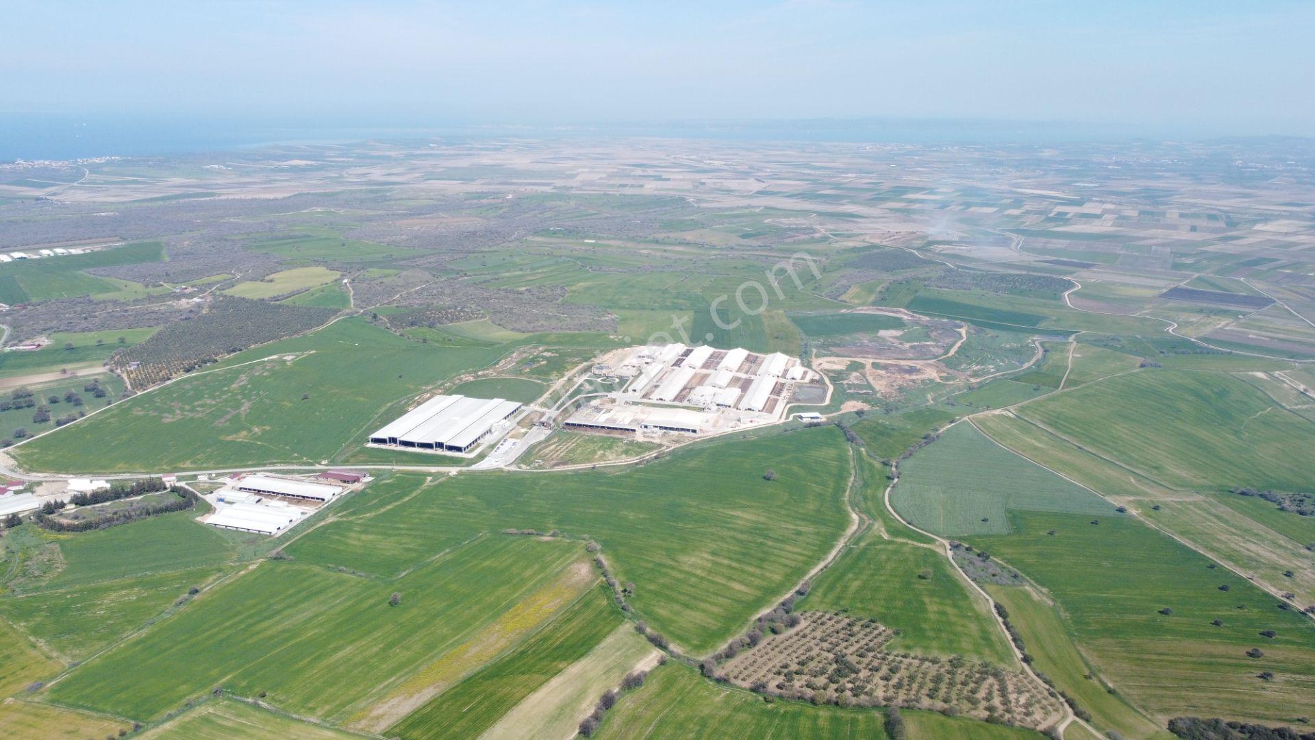 Çanakkale Ezine Üvecik Köyü'nde 216 Dönüm Tek Parça Tarla - Görsel 17