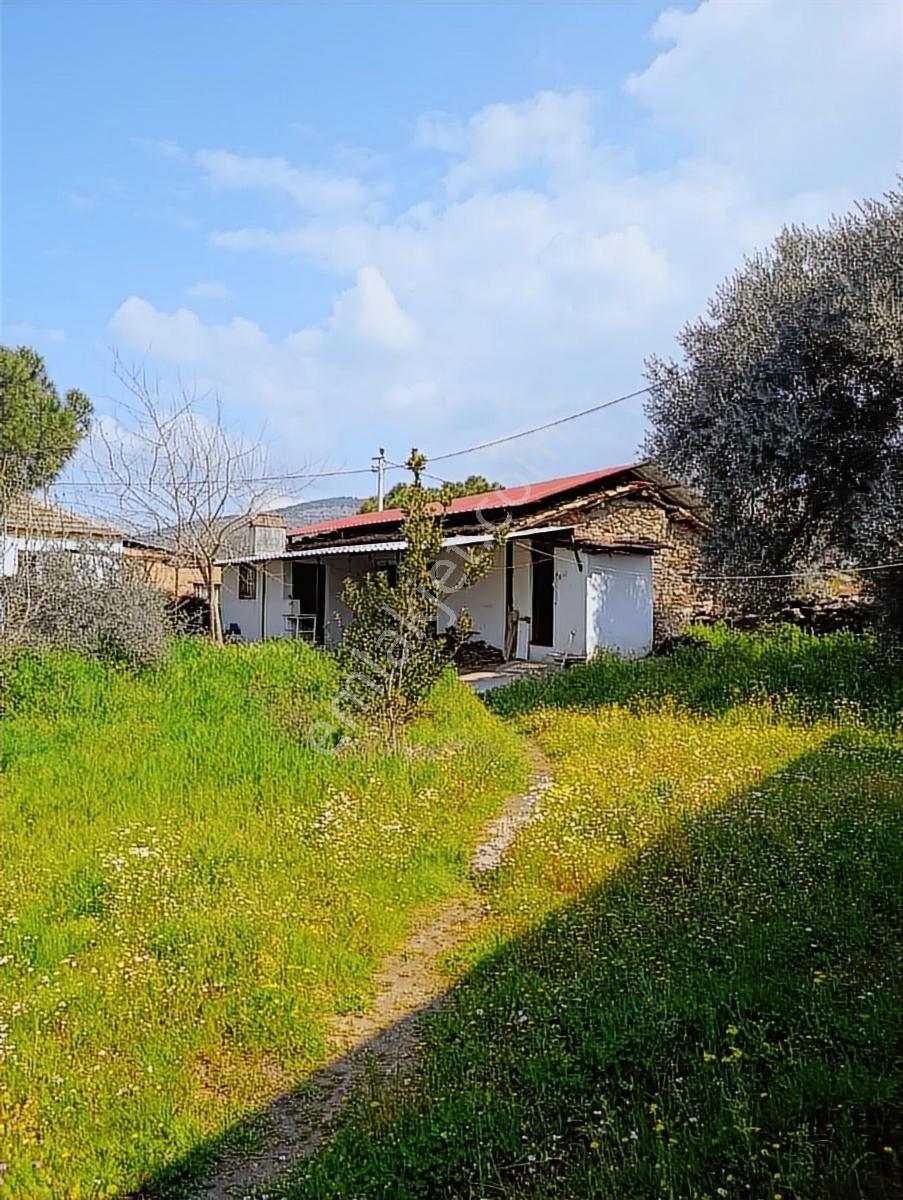 Nazilli Beyerli'de Hobi Bahçesi 2948m2 - Görsel 16