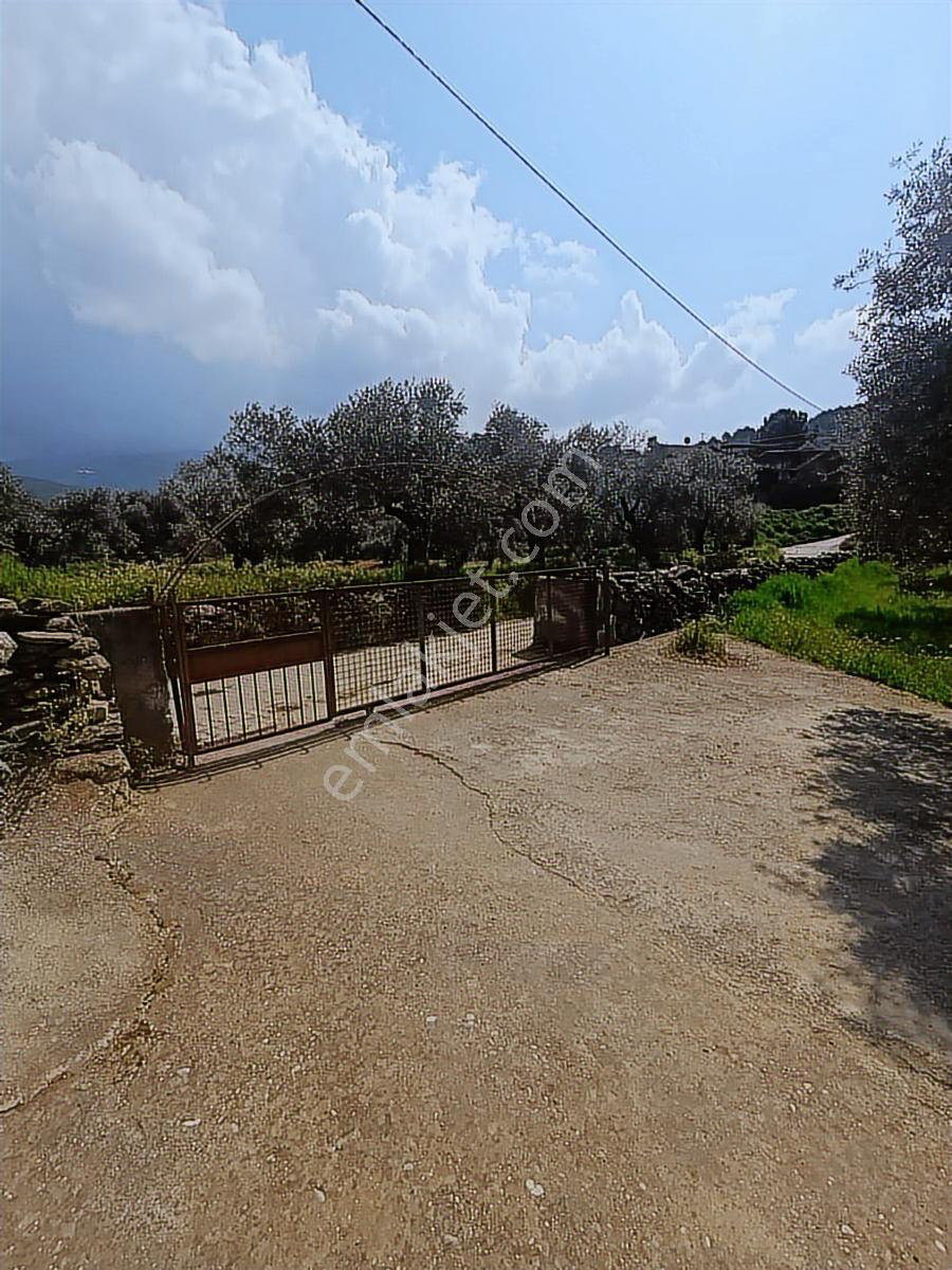 Nazilli Beyerli'de Hobi Bahçesi 2948m2 - Görsel 24