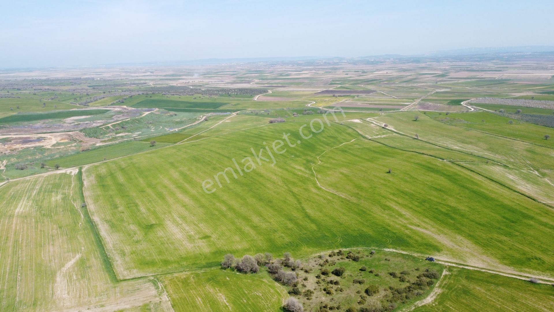 Çanakkale Ezine Üvecik Köyü'nde 150 Dönüm Tek Parça Tarla - Görsel 16