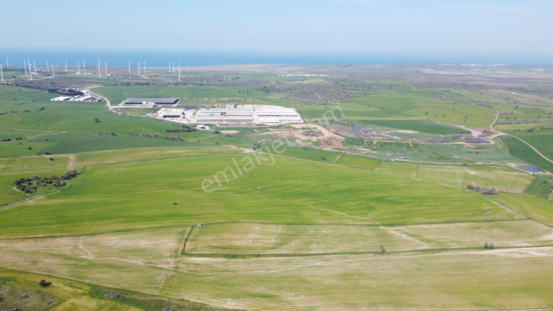 Çanakkale Ezine Üvecik Köyü'nde 150 Dönüm Tek Parça Tarla - Görsel 11