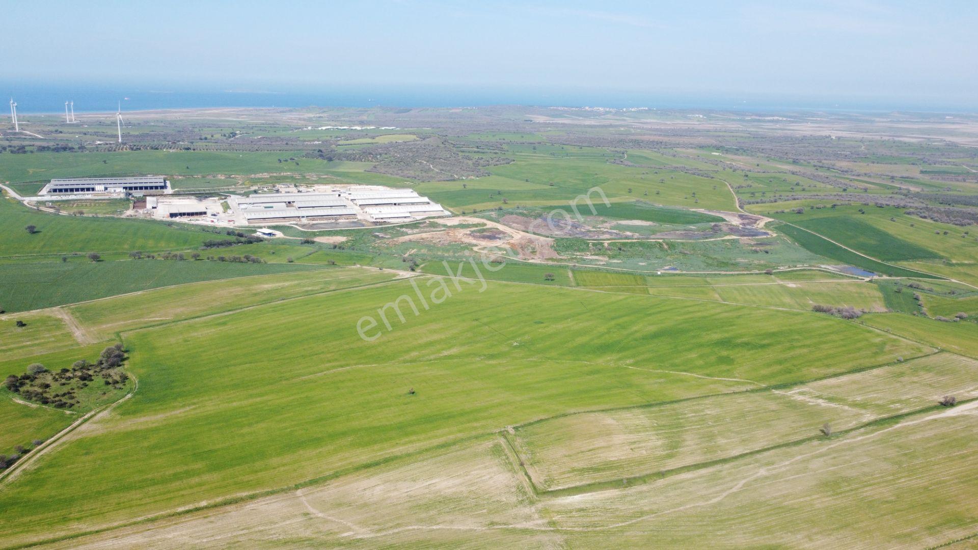 Çanakkale Ezine Üvecik Köyü'nde 150 Dönüm Tek Parça Tarla - Görsel 12