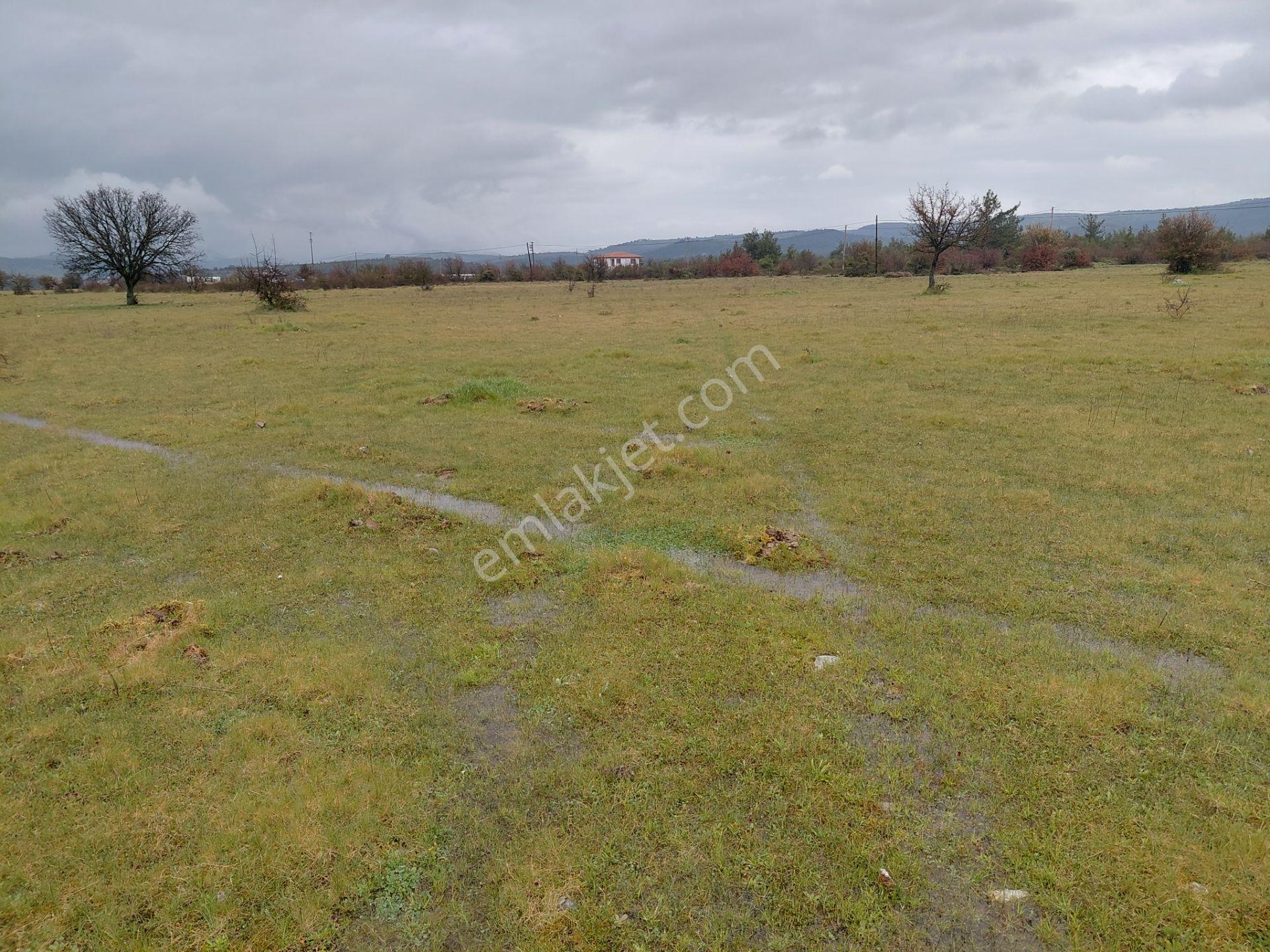 Osmancalı Da Satılık 2.450 M2 Boş Tarla 2.650.000 Tl - Görsel 10