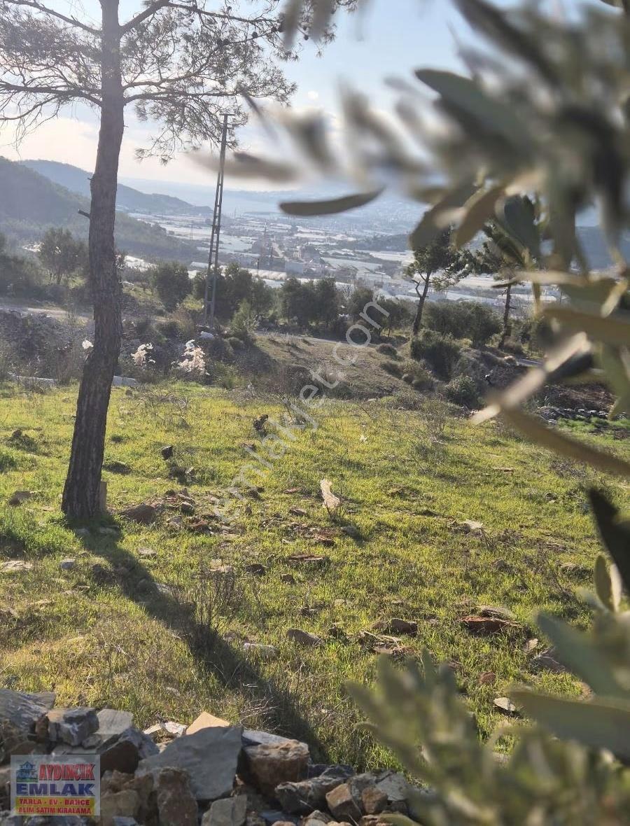 Aydıncık Emlaktan Satılık Tarla - Görsel 2