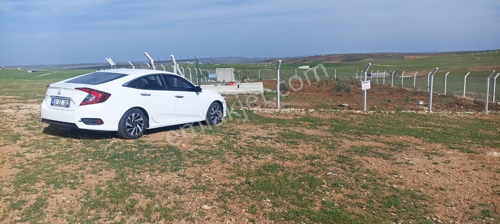 Hava Alanında - Görsel 10