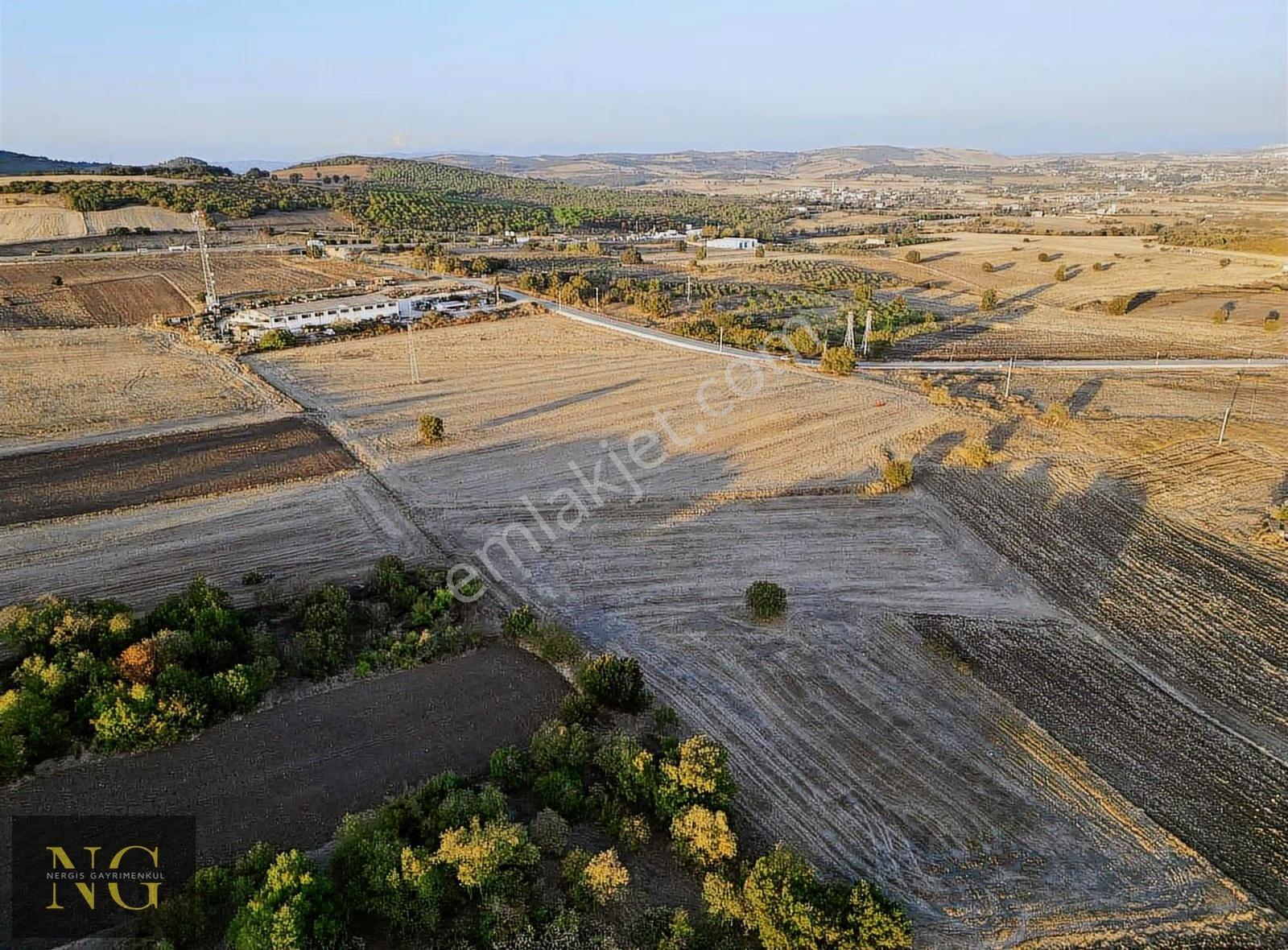 Bursa Nilüfer Çatalağıl'da Satılık 8200 M² Arazi