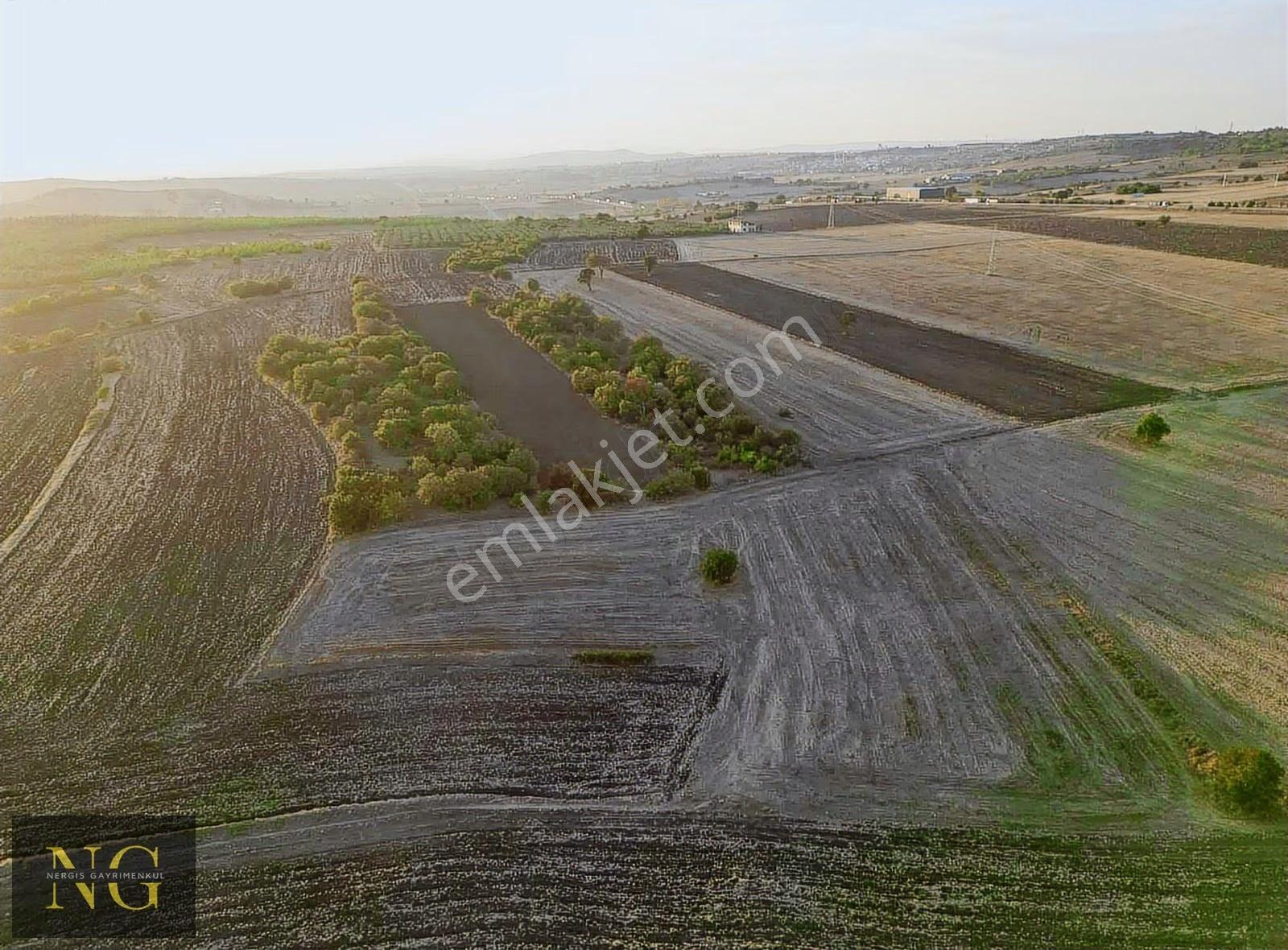 Bursa Nilüfer Çatalağıl'da Satılık 8200 M² Arazi - Görsel 7