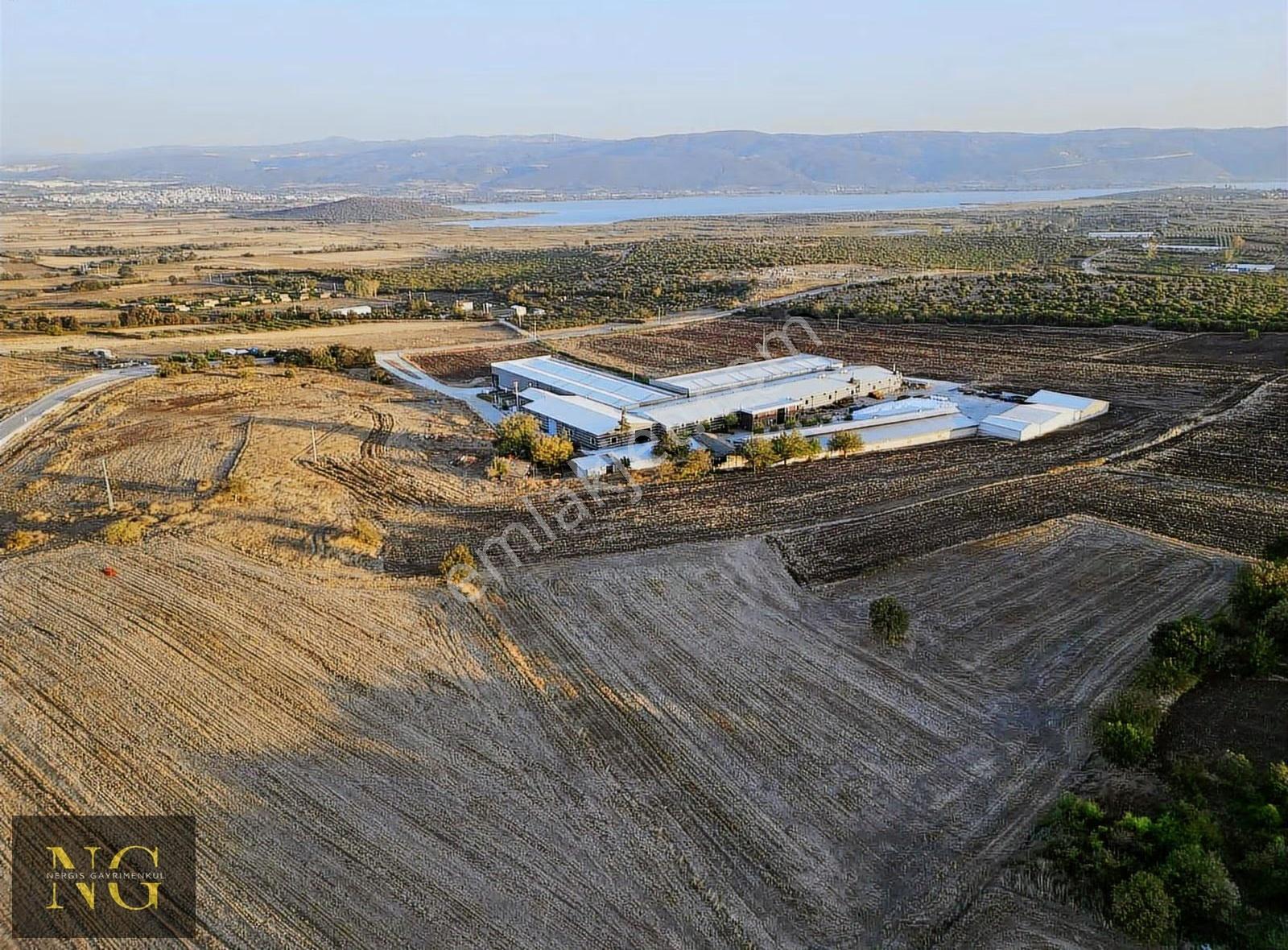 Bursa Nilüfer Çatalağıl'da Satılık 8200 M² Arazi - Görsel 5
