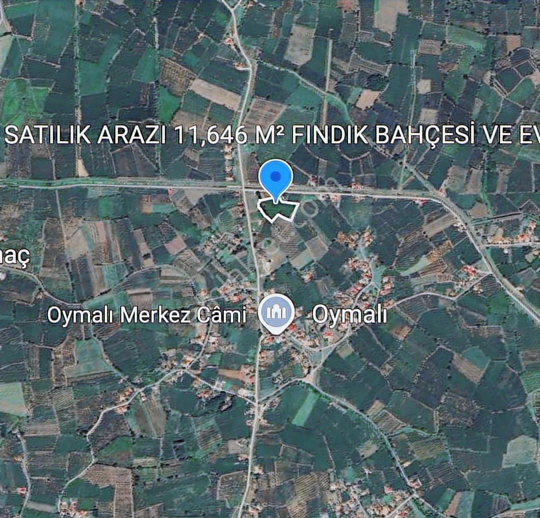Görgülü Emlaktan Satılık Arazi Ve Ev - Görsel 19