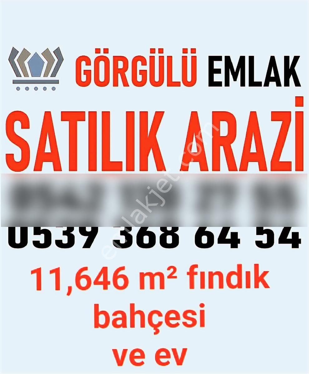 Görgülü Emlaktan Satılık Arazi Ve Ev - Görsel 20