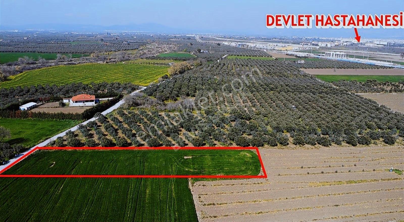 Tren İstasyonuna Yakın, 2854m² Satılık Tarla - Görsel 2