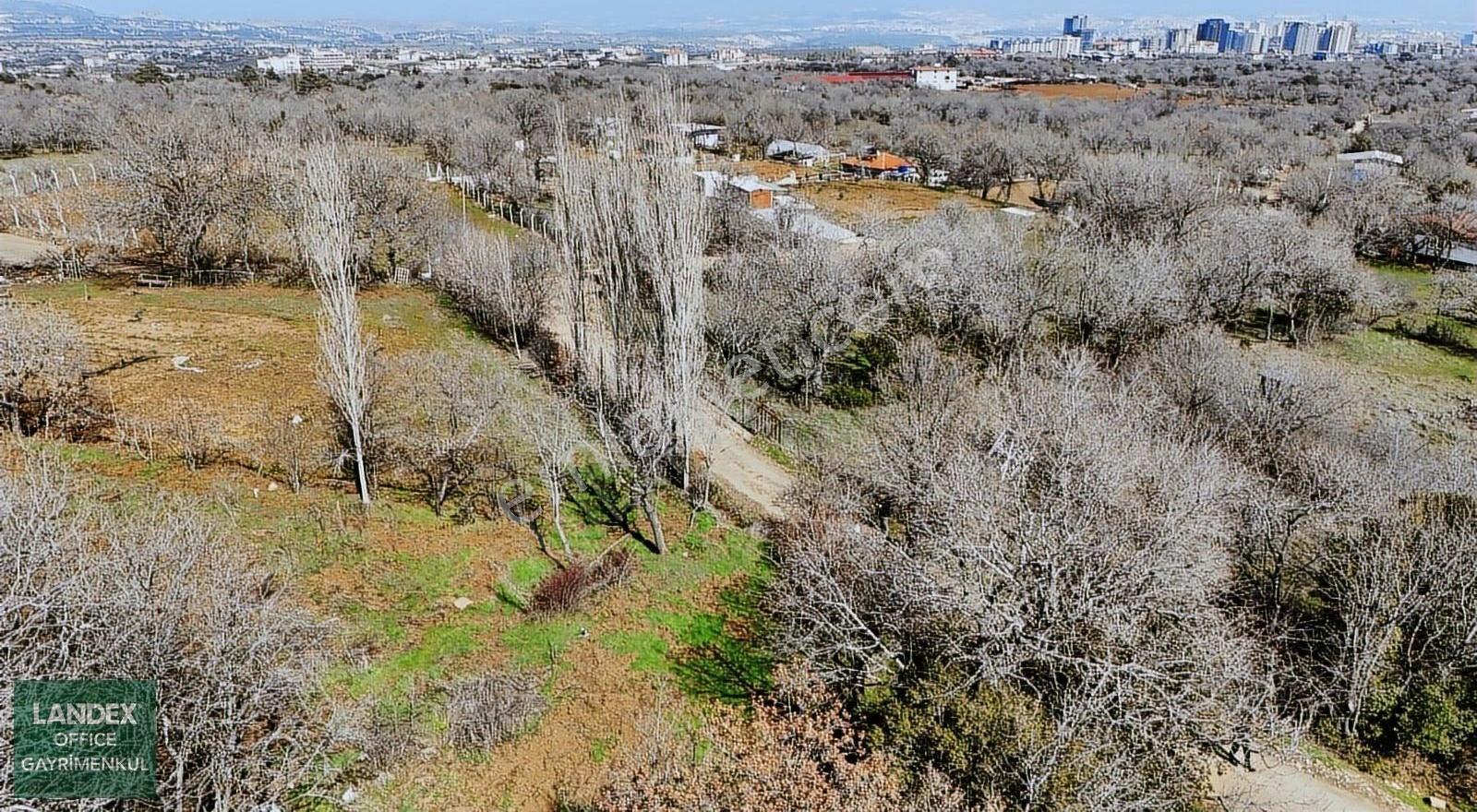 Başkarcıda Doğa İçinde 974 M2 Satılık Tarla - Görsel 4