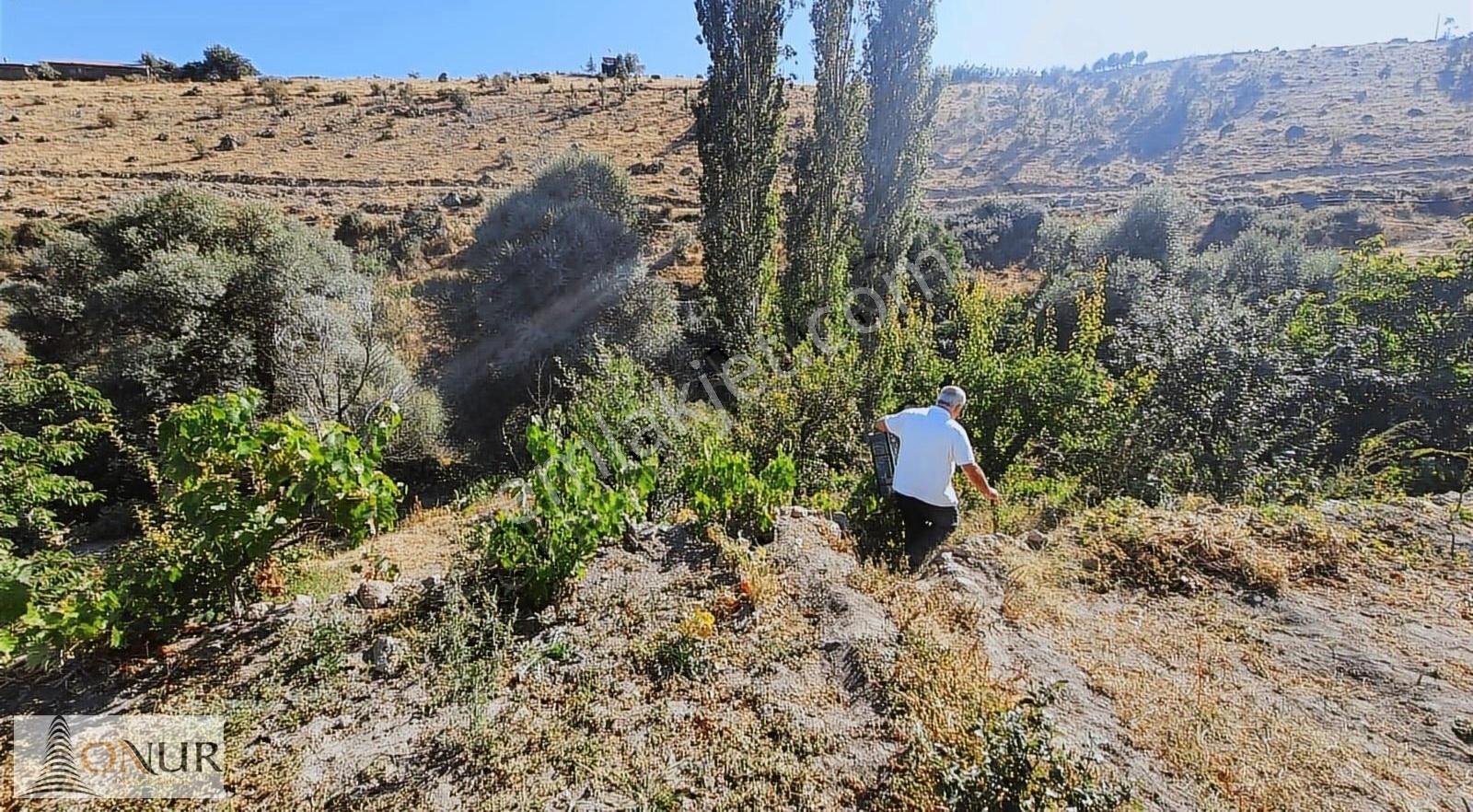 Onur Emlak Meram Çukurçimen Müstakil 518 M2 Satılık Bahçe - Görsel 20