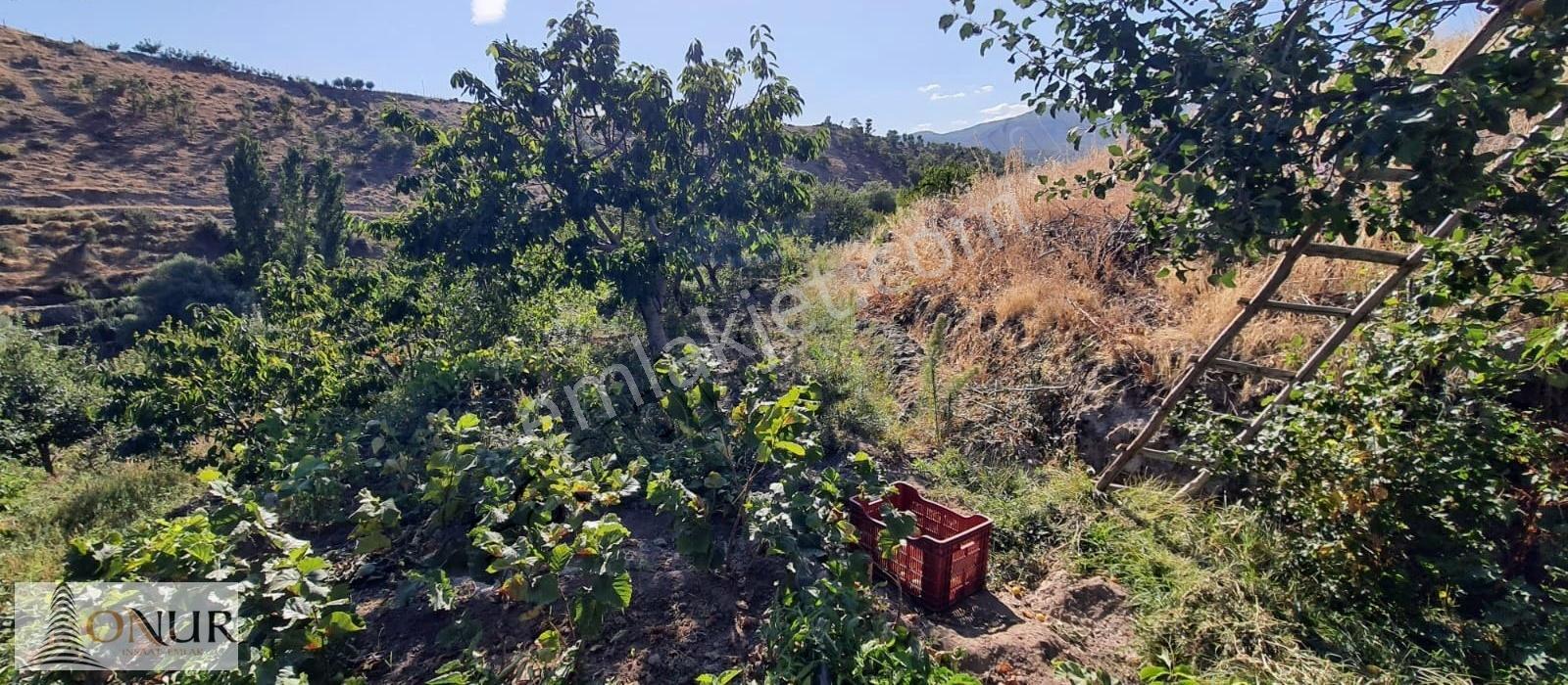 Onur Emlak Meram Çukurçimen Müstakil 518 M2 Satılık Bahçe - Görsel 11