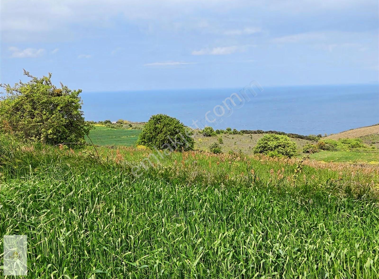 Bursa Mudanya Yalıçiflik Satılık Deniz Manzaralı Tarla - Görsel 16