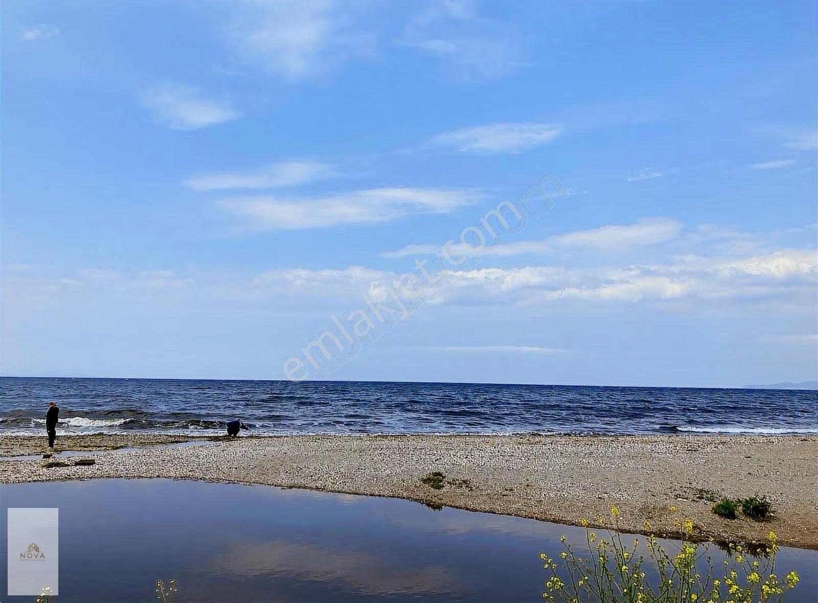 Bursa Mudanya Yalıçiflik Satılık Deniz Manzaralı Tarla - Görsel 3