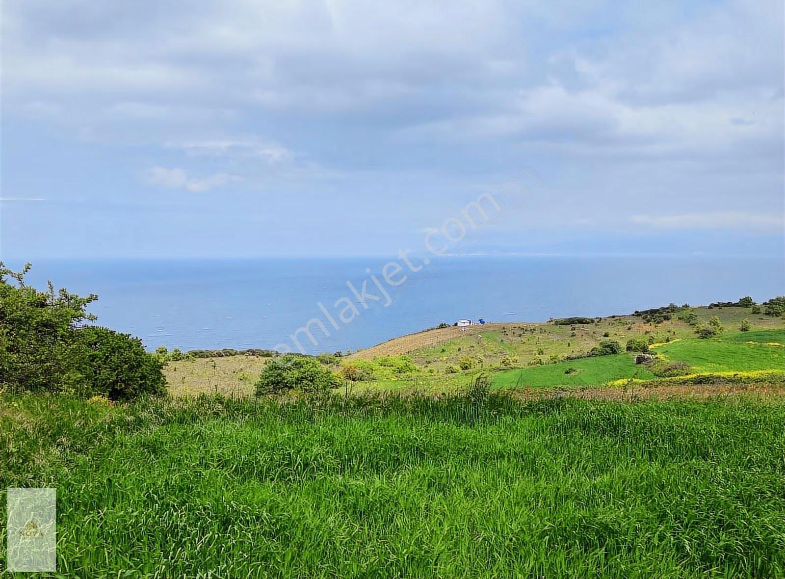 Bursa Mudanya Yalıçiflik Satılık Deniz Manzaralı Tarla - Görsel 2