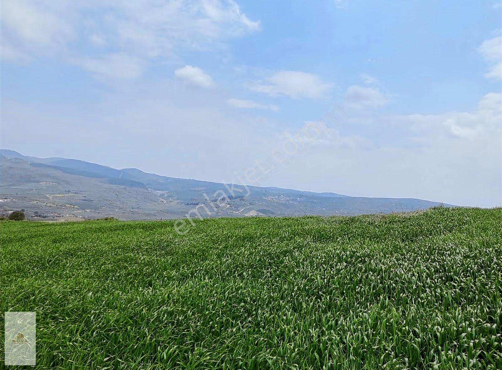 Bursa Mudanya Yalıçiflik Satılık Deniz Manzaralı Tarla - Görsel 15