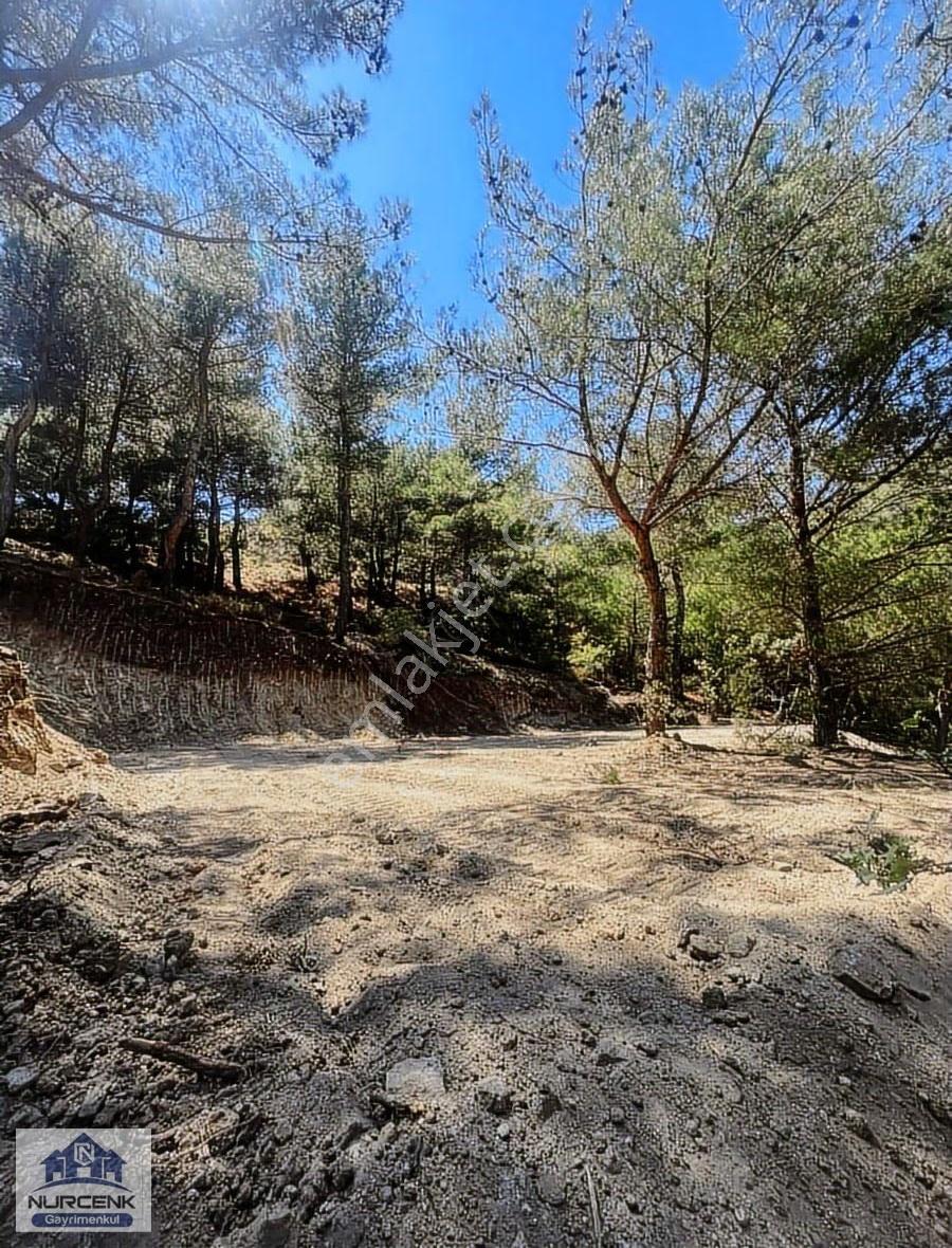 Bilecik Yenipazar Çarşi'da Köy İcinde Elektrik Su Olan Arsa - Görsel 2
