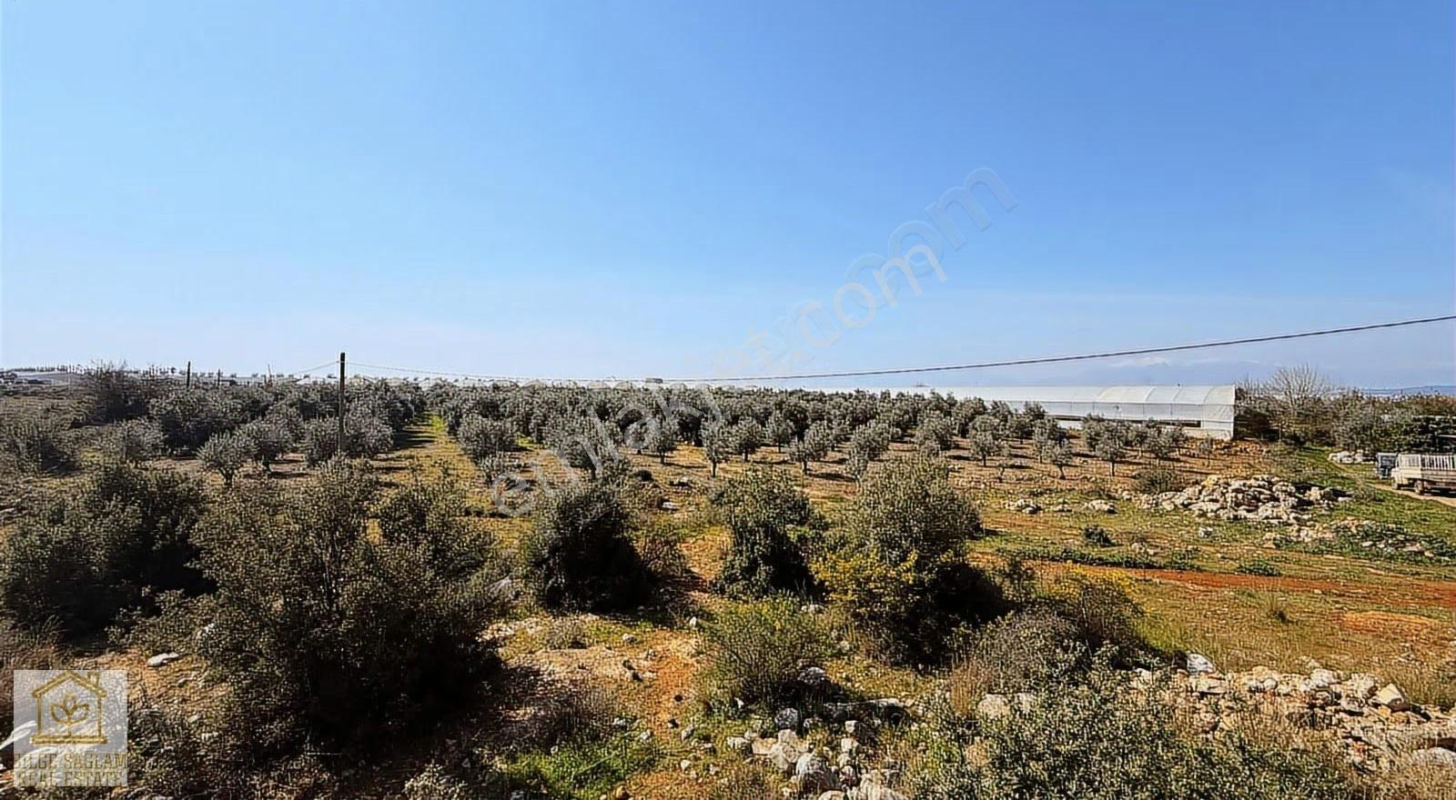 Bilgeden Gaziler Mah 518 M2 Ayrık Nizam İmarlı Köşe Arsa - Görsel 4