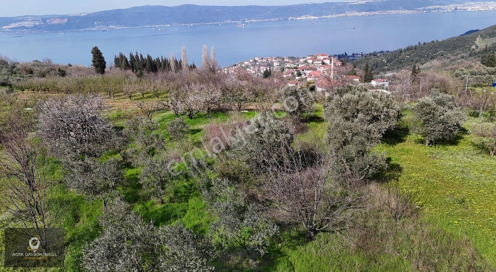 Rota'dan Karamürsel Ereğlide Mükemmel Deniz Manzaralı Arsa! - Görsel 8