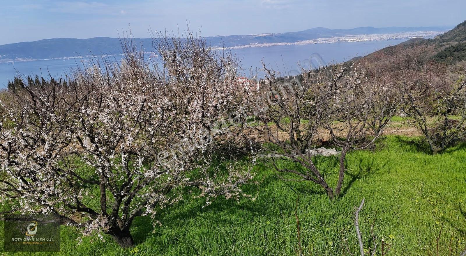 Rota'dan Karamürsel Ereğlide Mükemmel Deniz Manzaralı Arsa! - Görsel 3