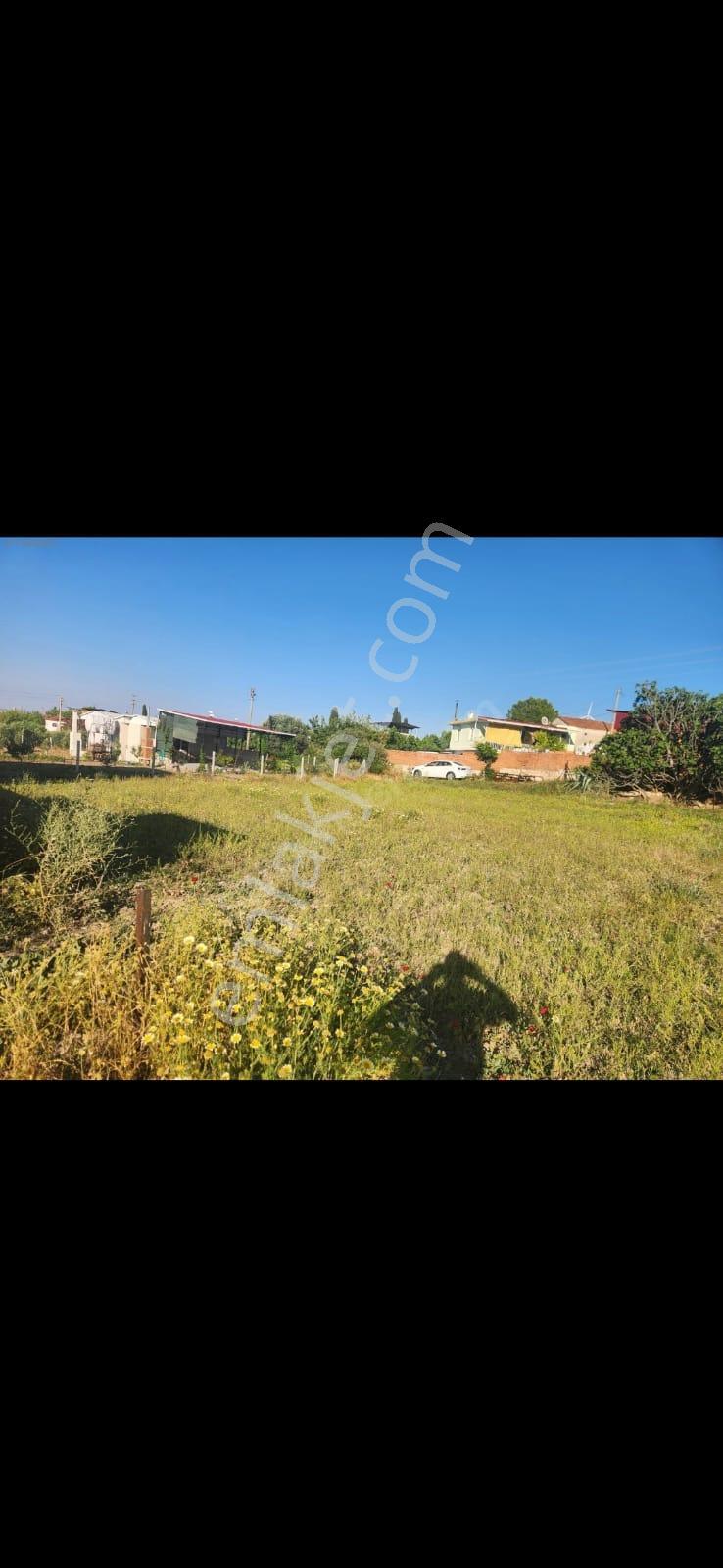 Didim Akyeniköy Köy İçi İmarlı 30/60 Villa İmarlı Ulaşıma Yakın! 500 M2 - Görsel 8