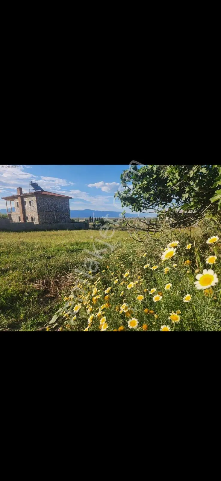 Didim Akyeniköy Köy İçi İmarlı 30/60 Villa İmarlı Ulaşıma Yakın! 500 M2 - Görsel 4