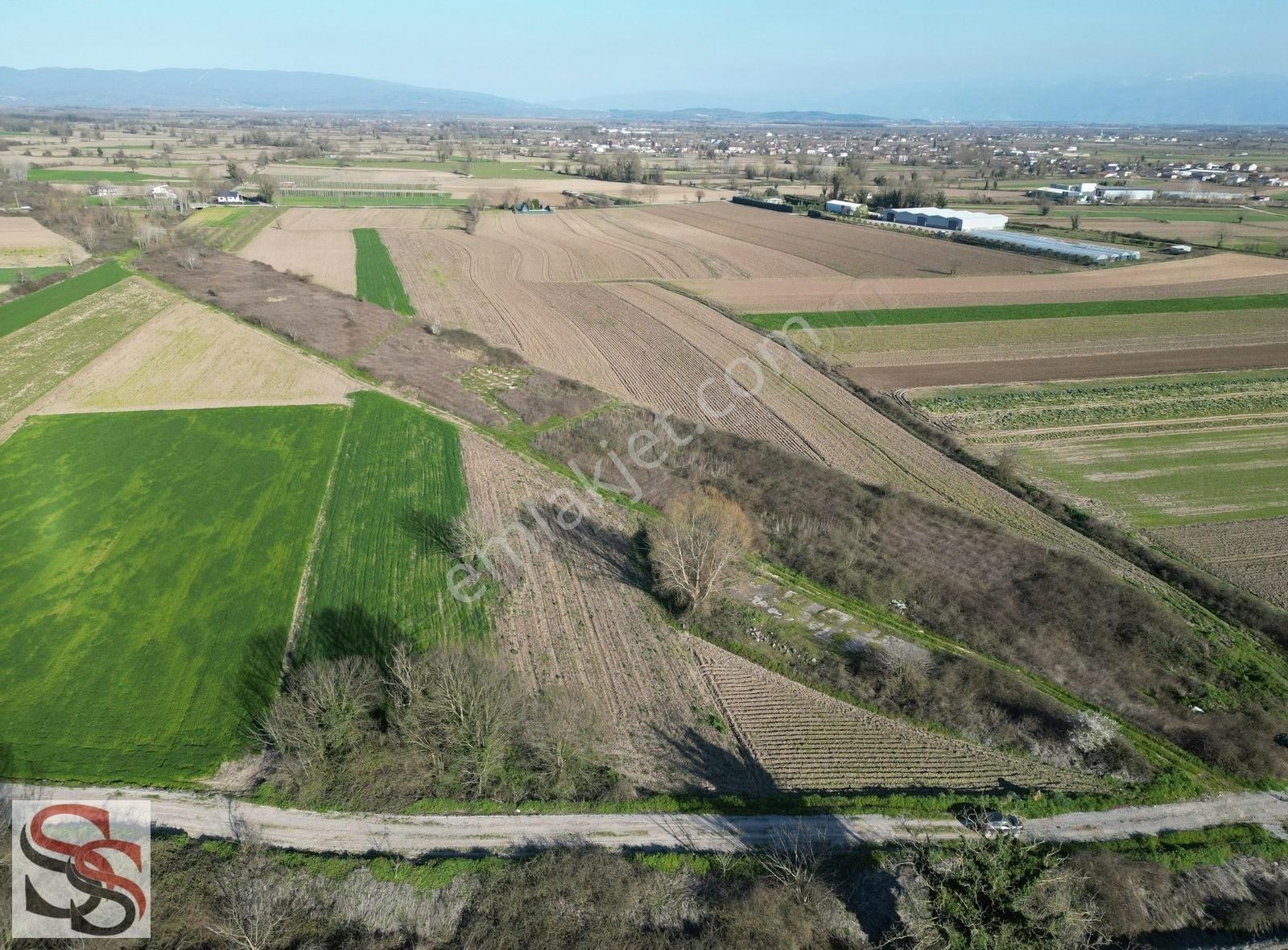 Hobi Bahçesi Arayanlara Adapazarı Kurtbeyler'de 1,746 M² Tarla - Görsel 2