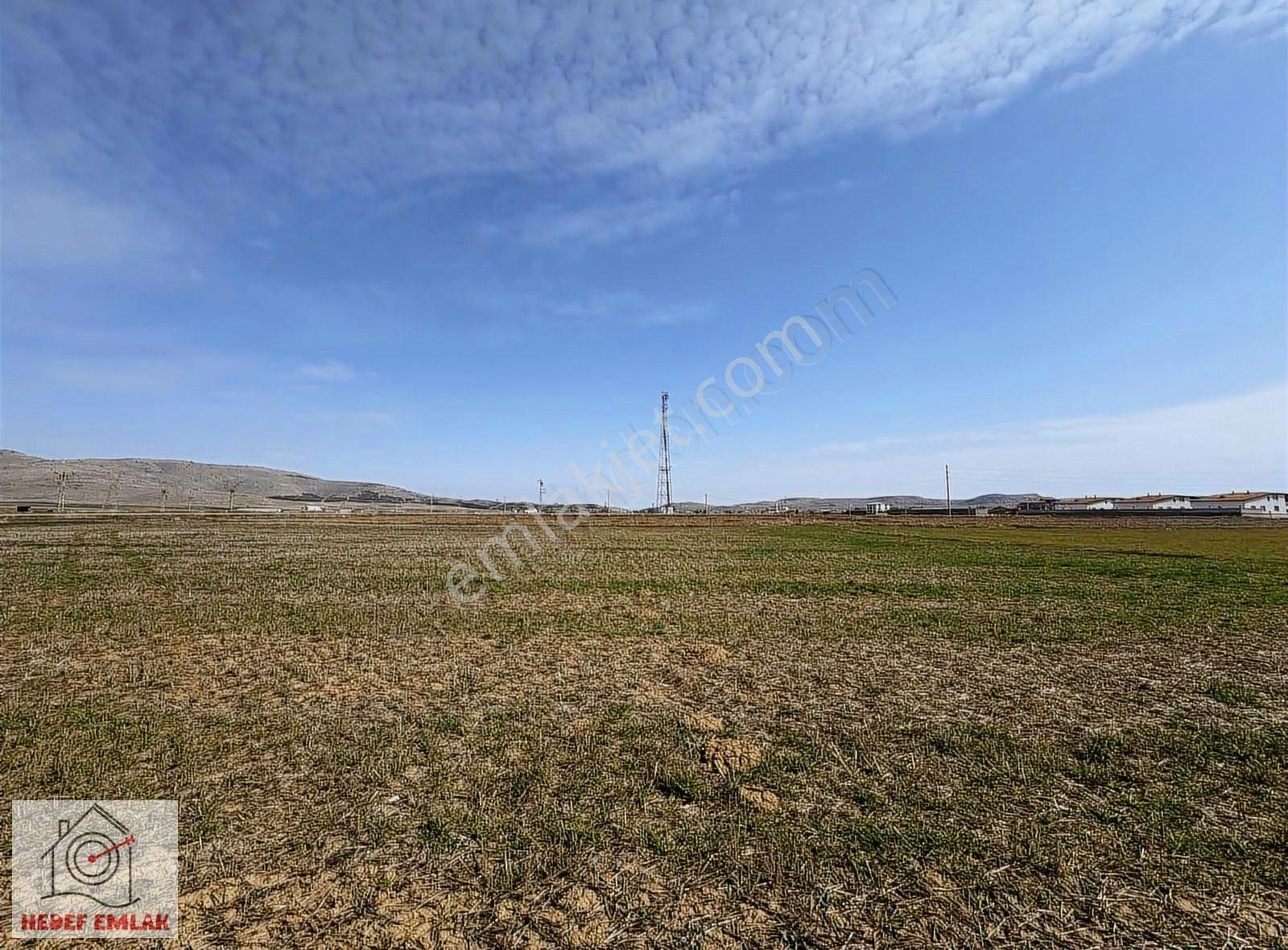 Afyon Susuz Osmanlıda Satılık 1/2 Tarla Hissesi - Görsel 2