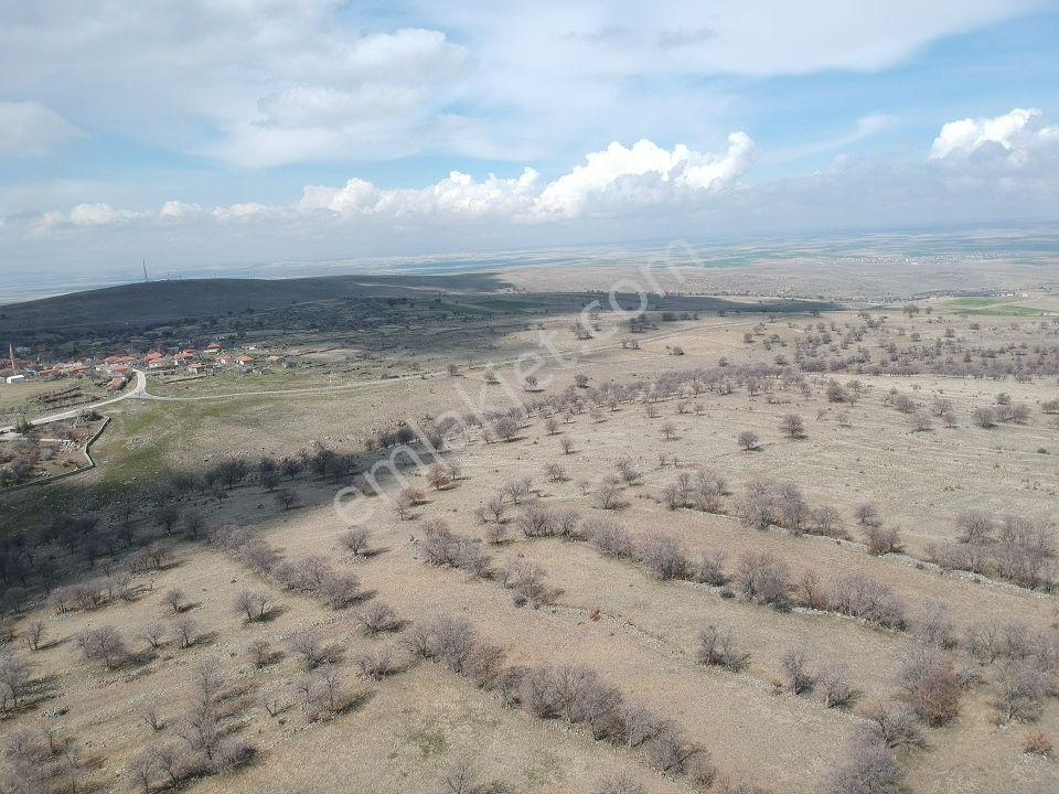 Konya Emirgazi Karaören 7500 M2 Elektrik Yol Su Var Köy Manzaralı - Görsel 12