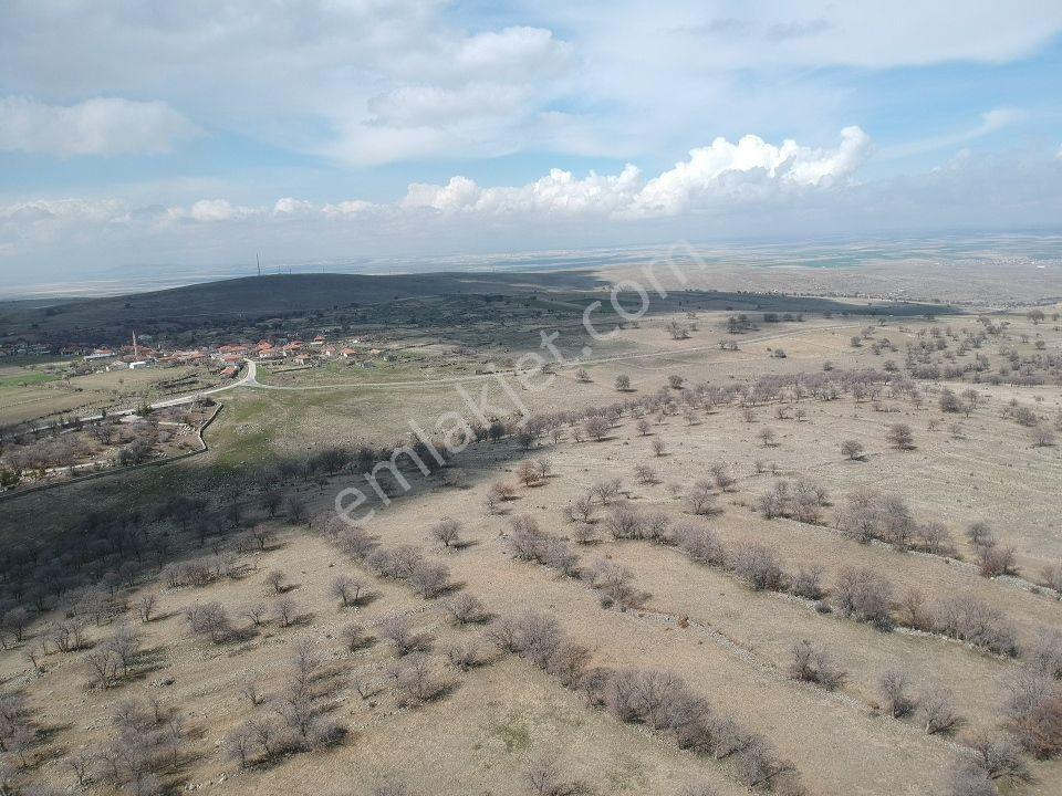 Konya Emirgazi Karaören 7500 M2 Elektrik Yol Su Var Köy Manzaralı - Görsel 28