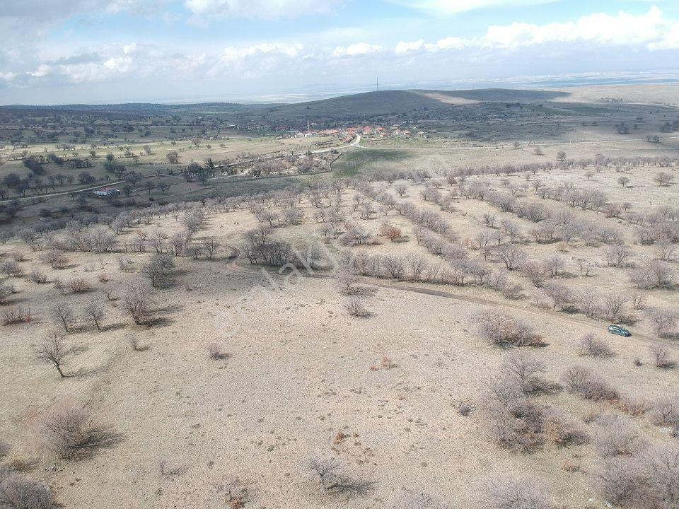 Konya Emirgazi Karaören 7500 M2 Elektrik Yol Su Var Köy Manzaralı - Görsel 10