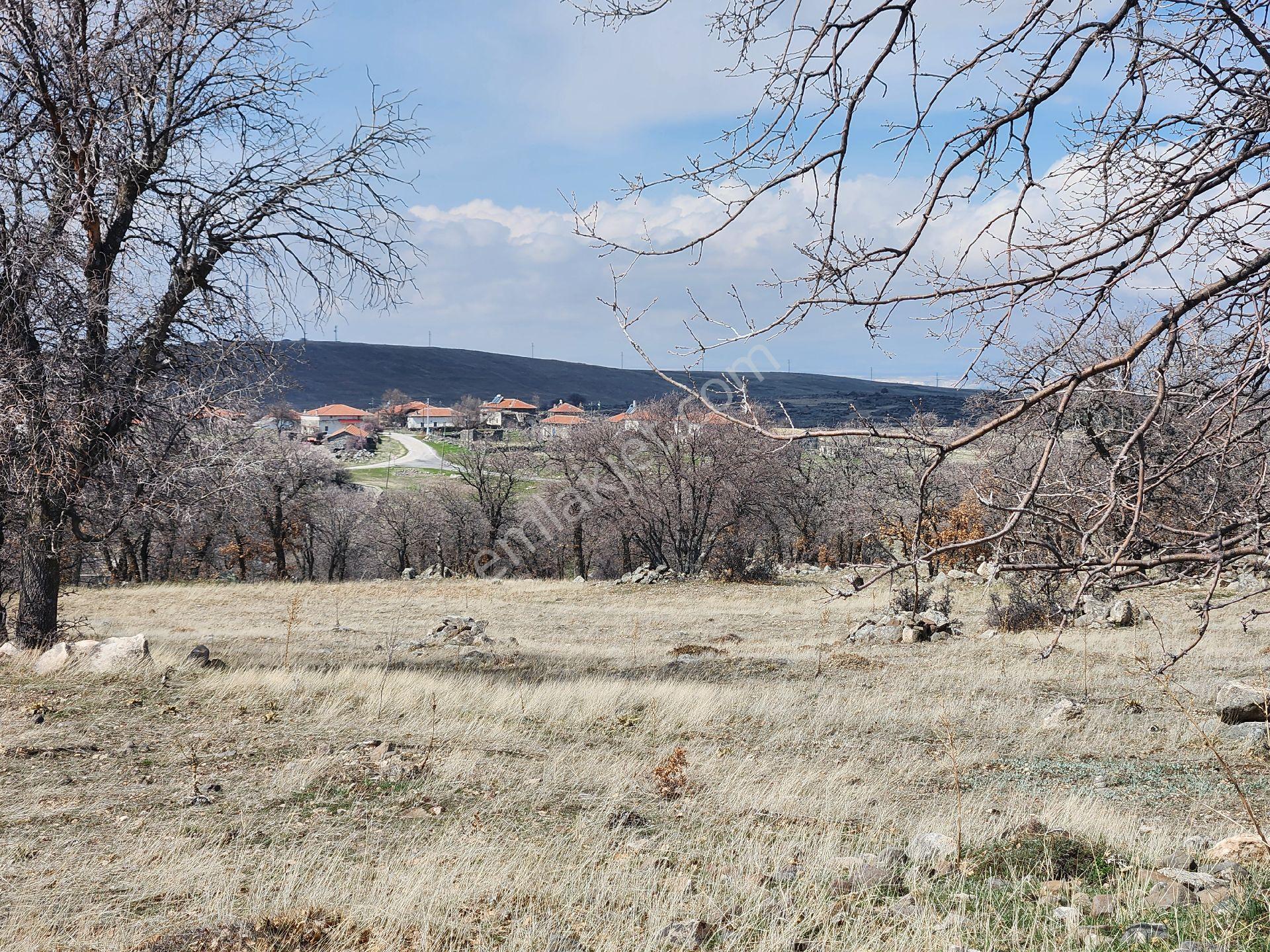 Konya Emirgazi Karaören 7500 M2 Elektrik Yol Su Var Köy Manzaralı - Görsel 33
