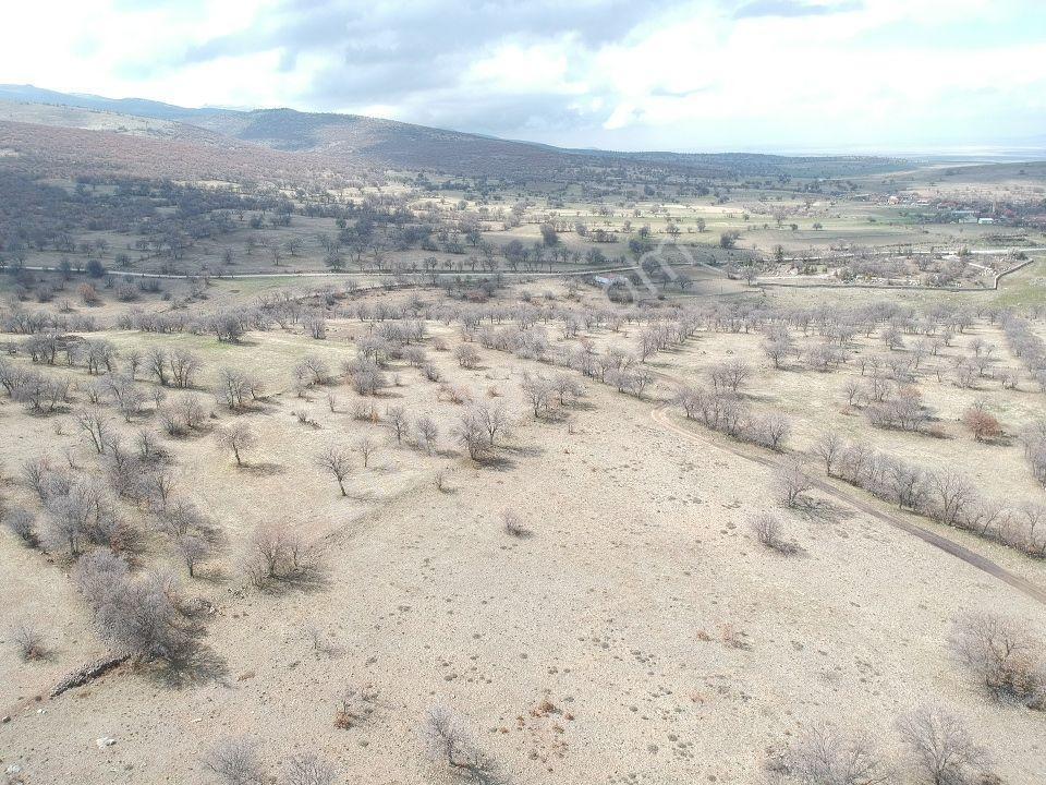 Konya Emirgazi Karaören 7500 M2 Elektrik Yol Su Var Köy Manzaralı - Görsel 23