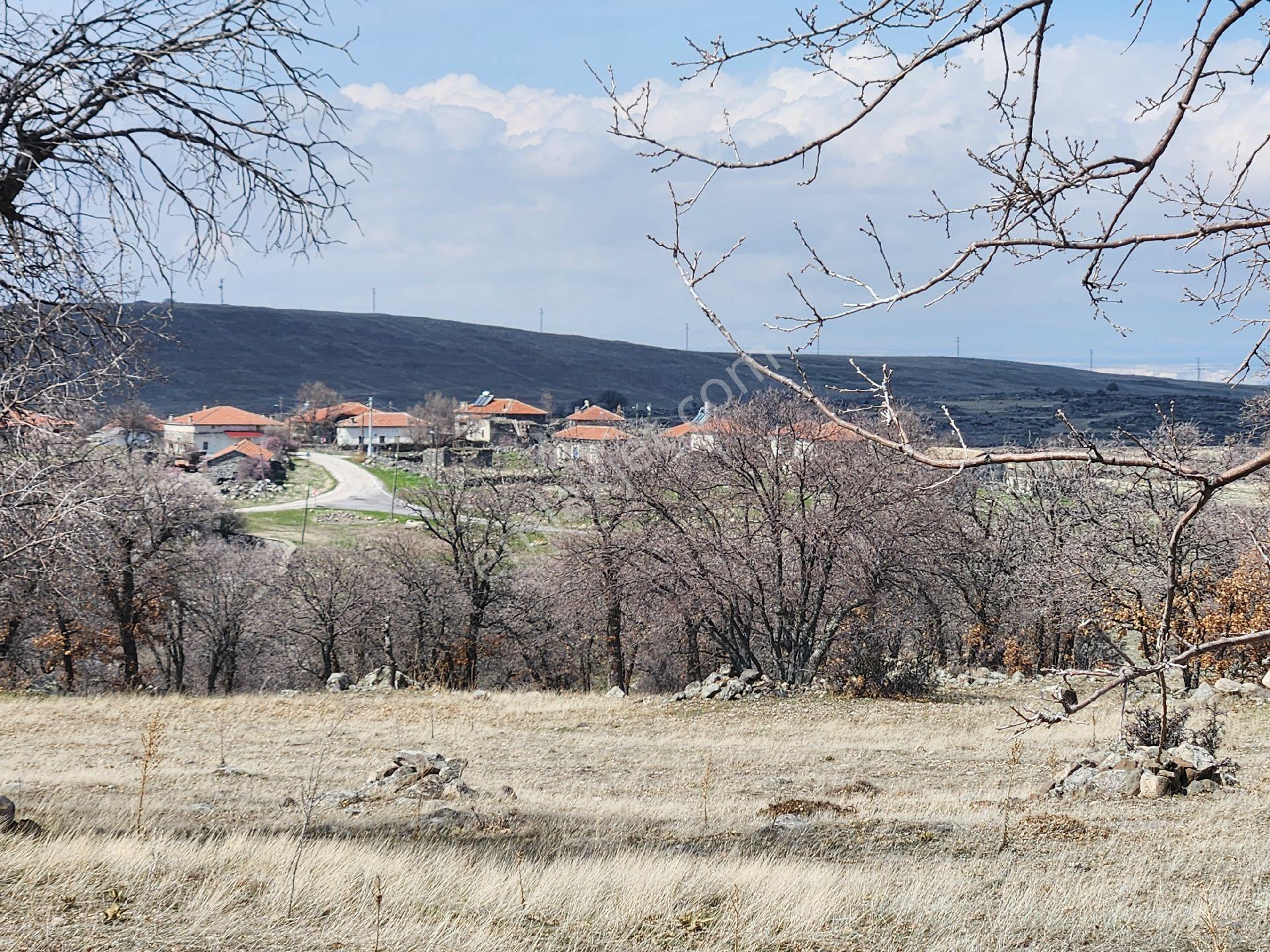 Konya Emirgazi Karaören 7500 M2 Elektrik Yol Su Var Köy Manzaralı