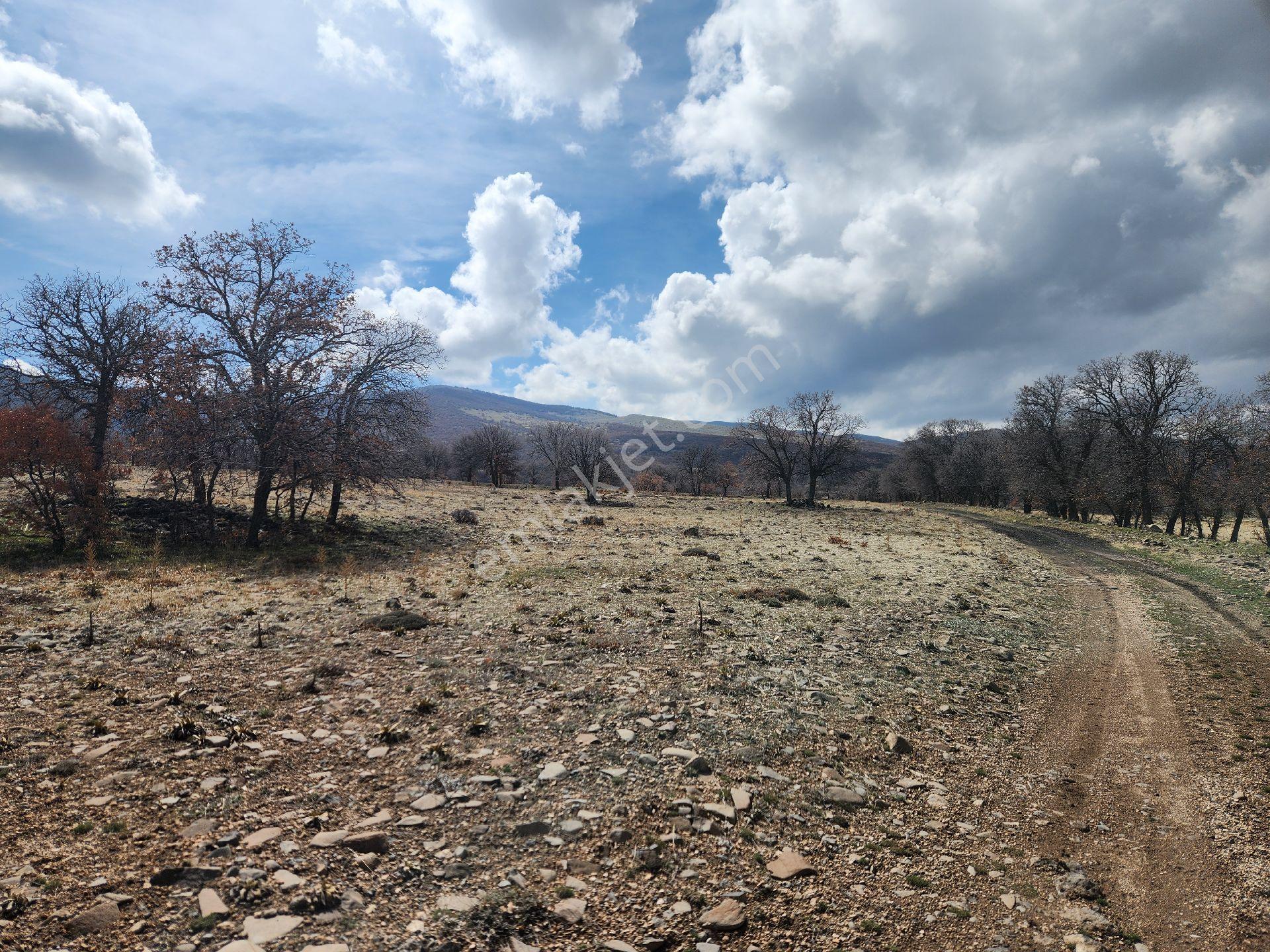 Konya Emirgazi Karaören 7500 M2 Elektrik Yol Su Var Köy Manzaralı - Görsel 27