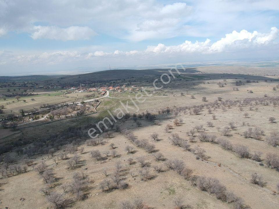 Konya Emirgazi Karaören 7500 M2 Elektrik Yol Su Var Köy Manzaralı - Görsel 16
