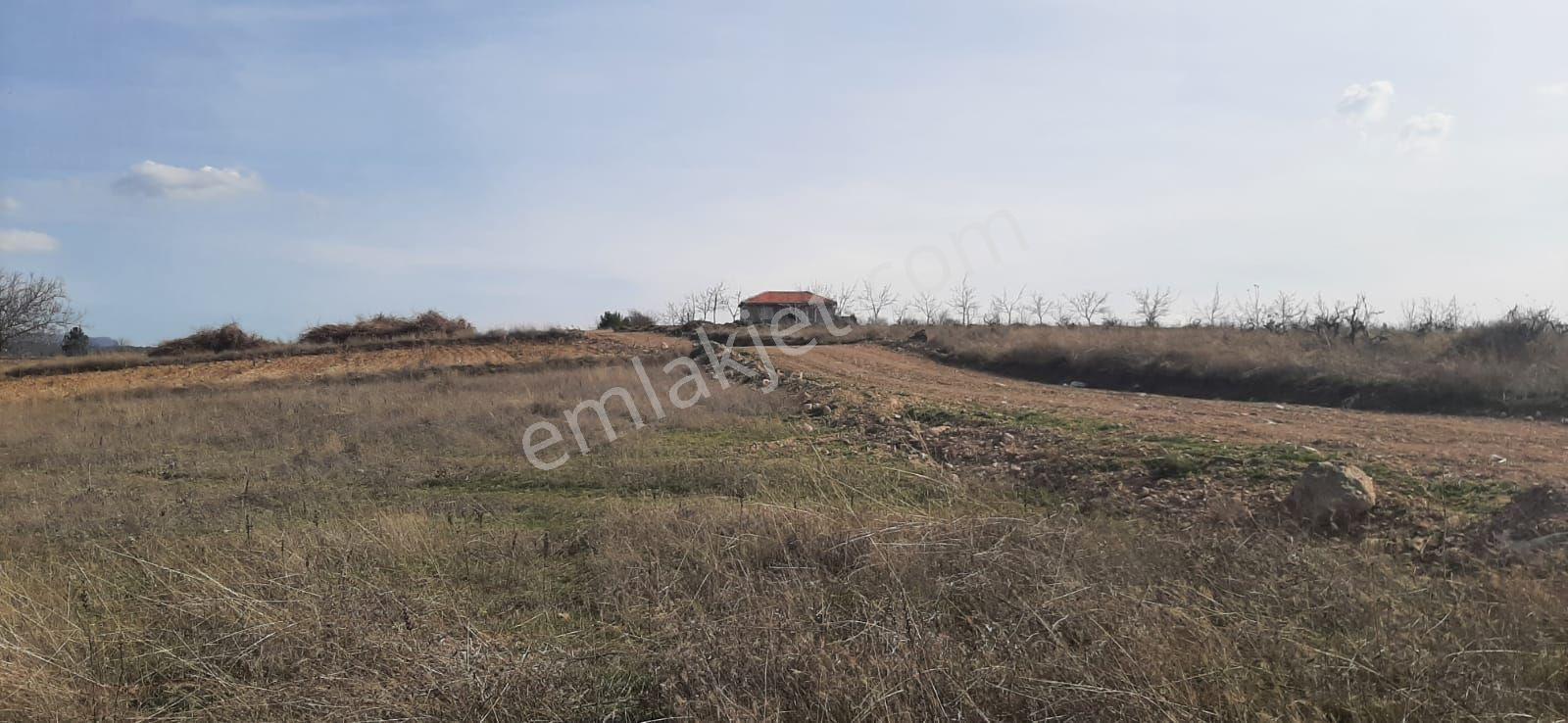Yatırımlık Bahçe - Görsel 6