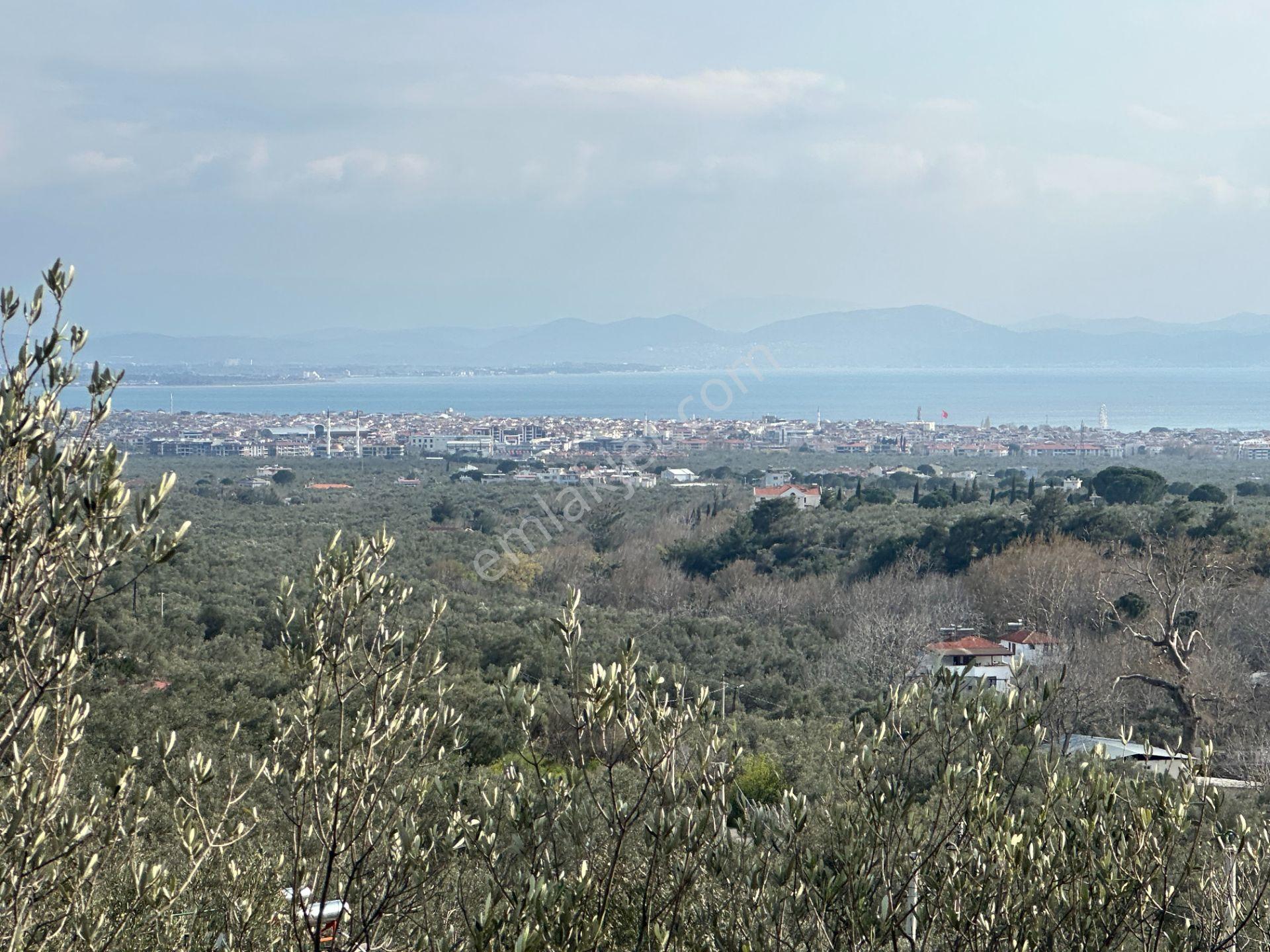 ▀mera Emlaktan Kızılkeçeli Köyü Müstakil 21.000m2 Zeytinlik - Görsel 6