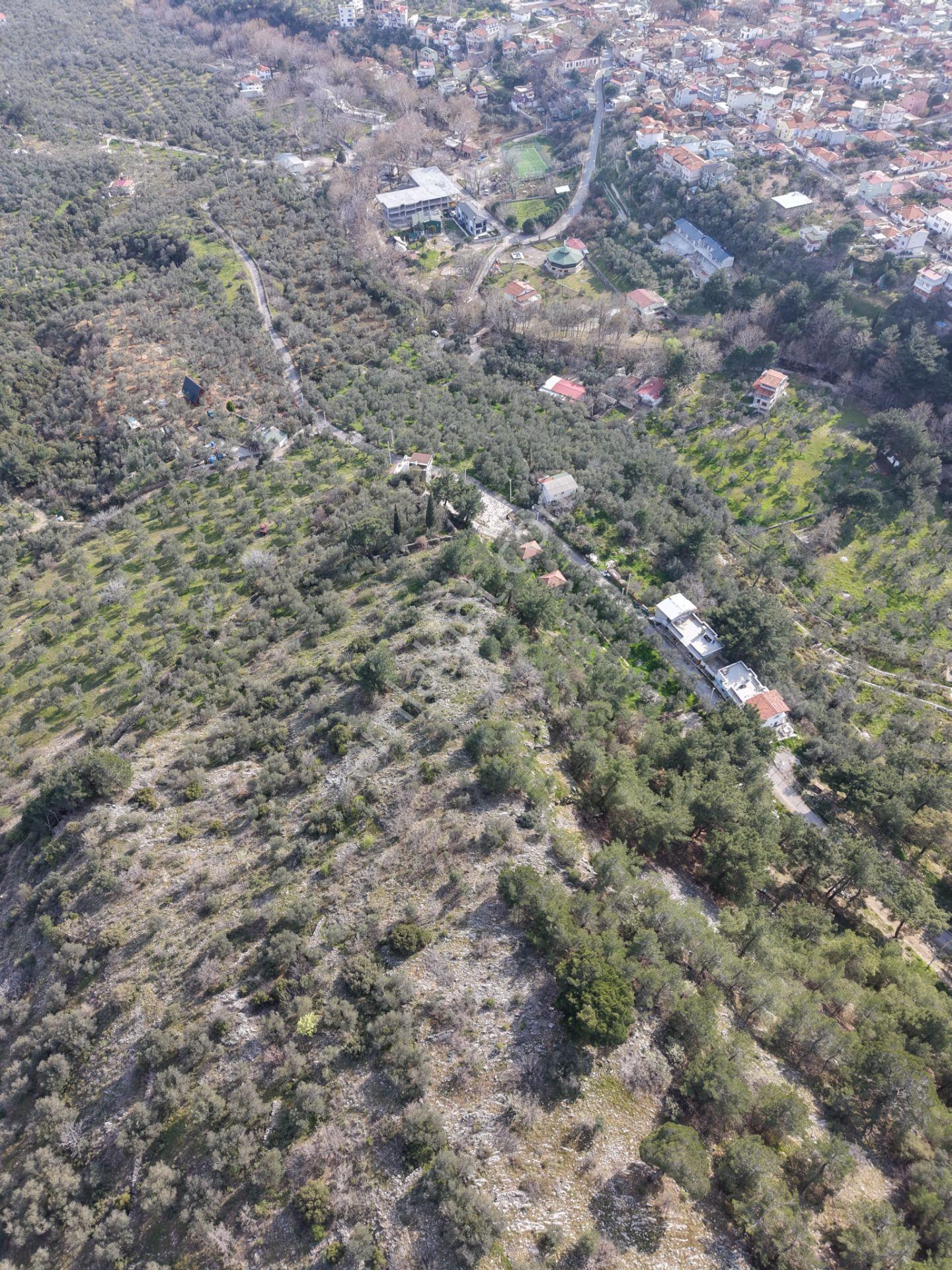▀mera Emlaktan Kızılkeçeli Köyü Müstakil 21.000m2 Zeytinlik - Görsel 16