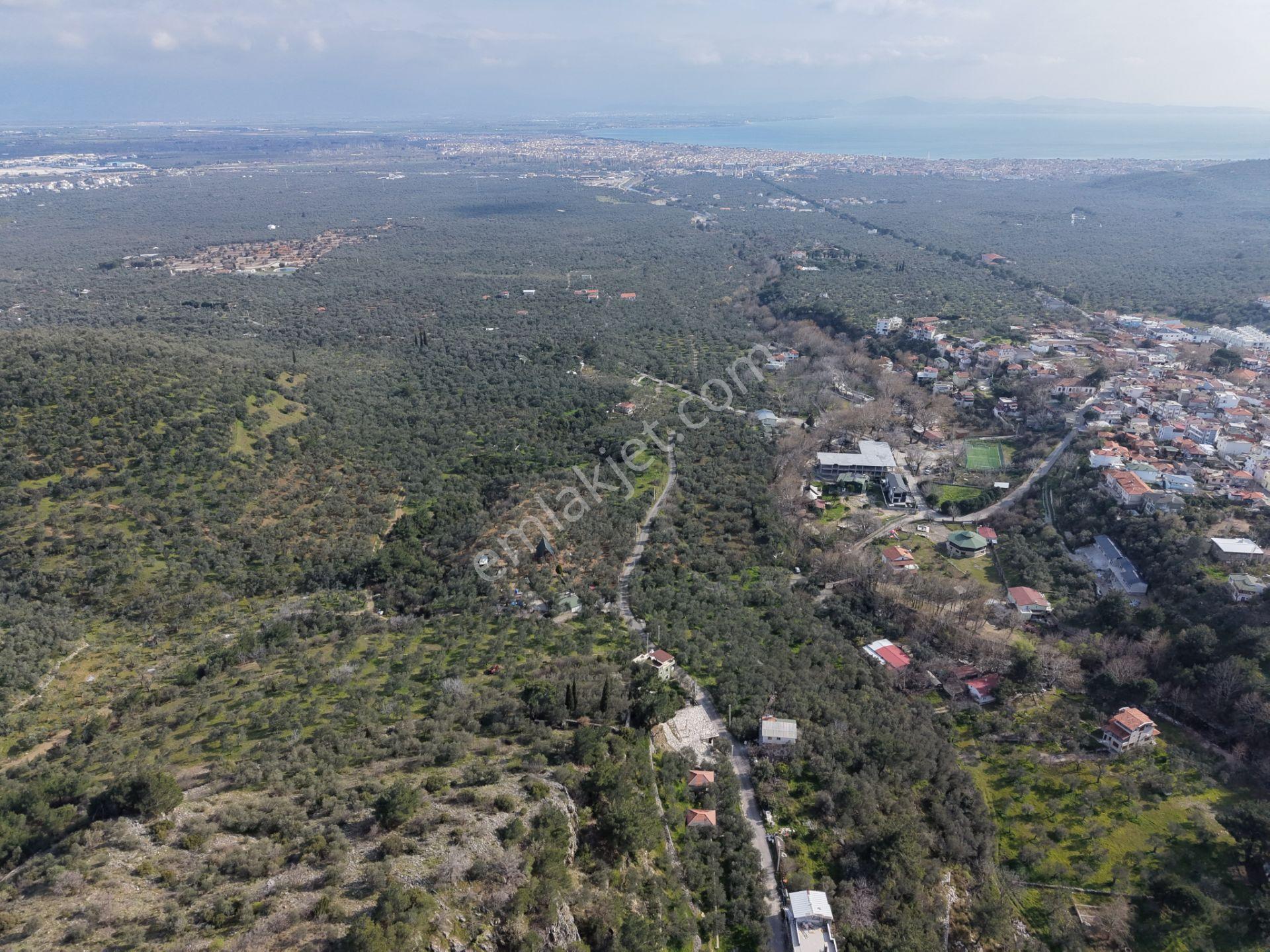 ▀mera Emlaktan Kızılkeçeli Köyü Müstakil 21.000m2 Zeytinlik - Görsel 34