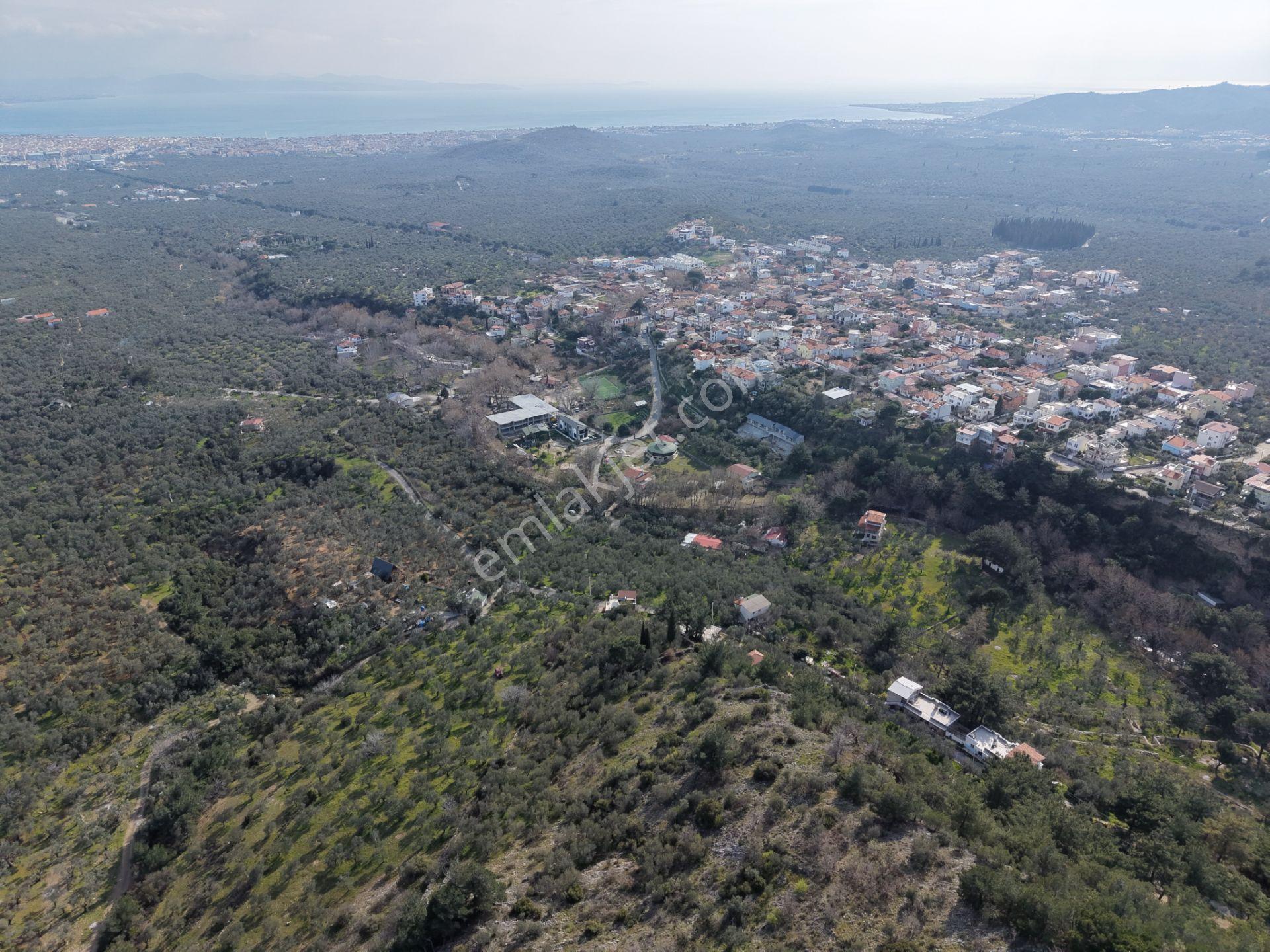 ▀mera Emlaktan Kızılkeçeli Köyü Müstakil 21.000m2 Zeytinlik - Görsel 33