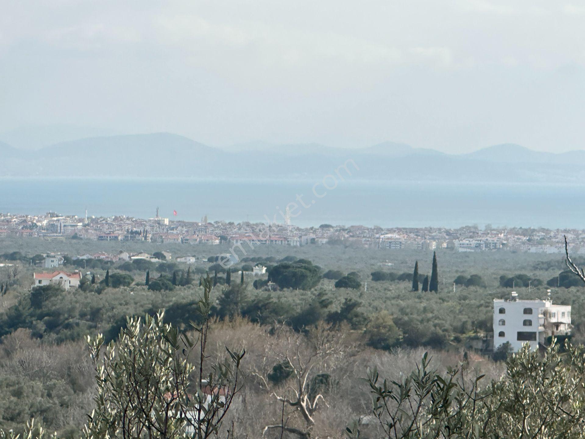 ▀mera Emlaktan Kızılkeçeli Köyü Müstakil 21.000m2 Zeytinlik - Görsel 18
