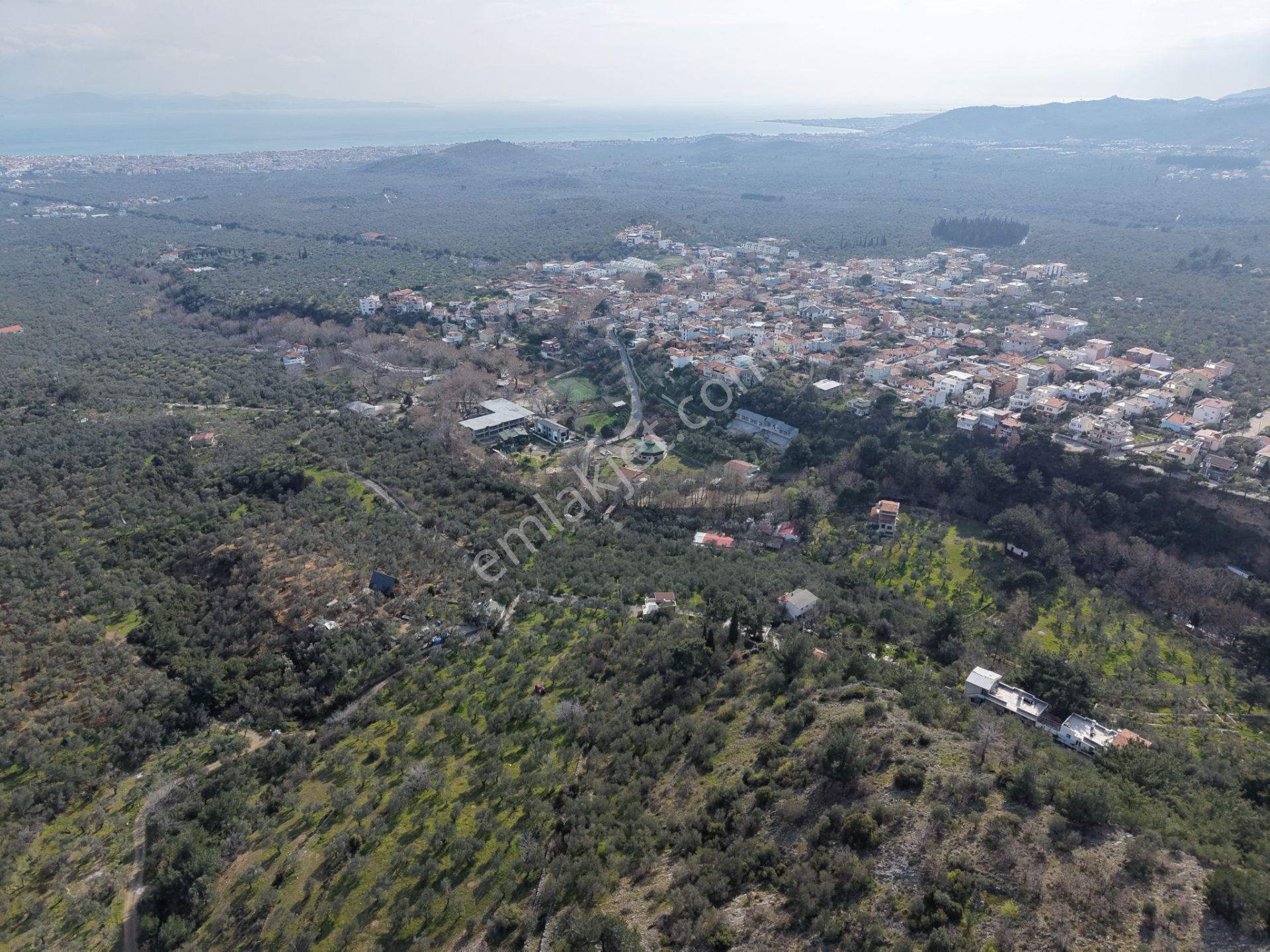 ▀mera Emlaktan Kızılkeçeli Köyü Müstakil 21.000m2 Zeytinlik - Görsel 15