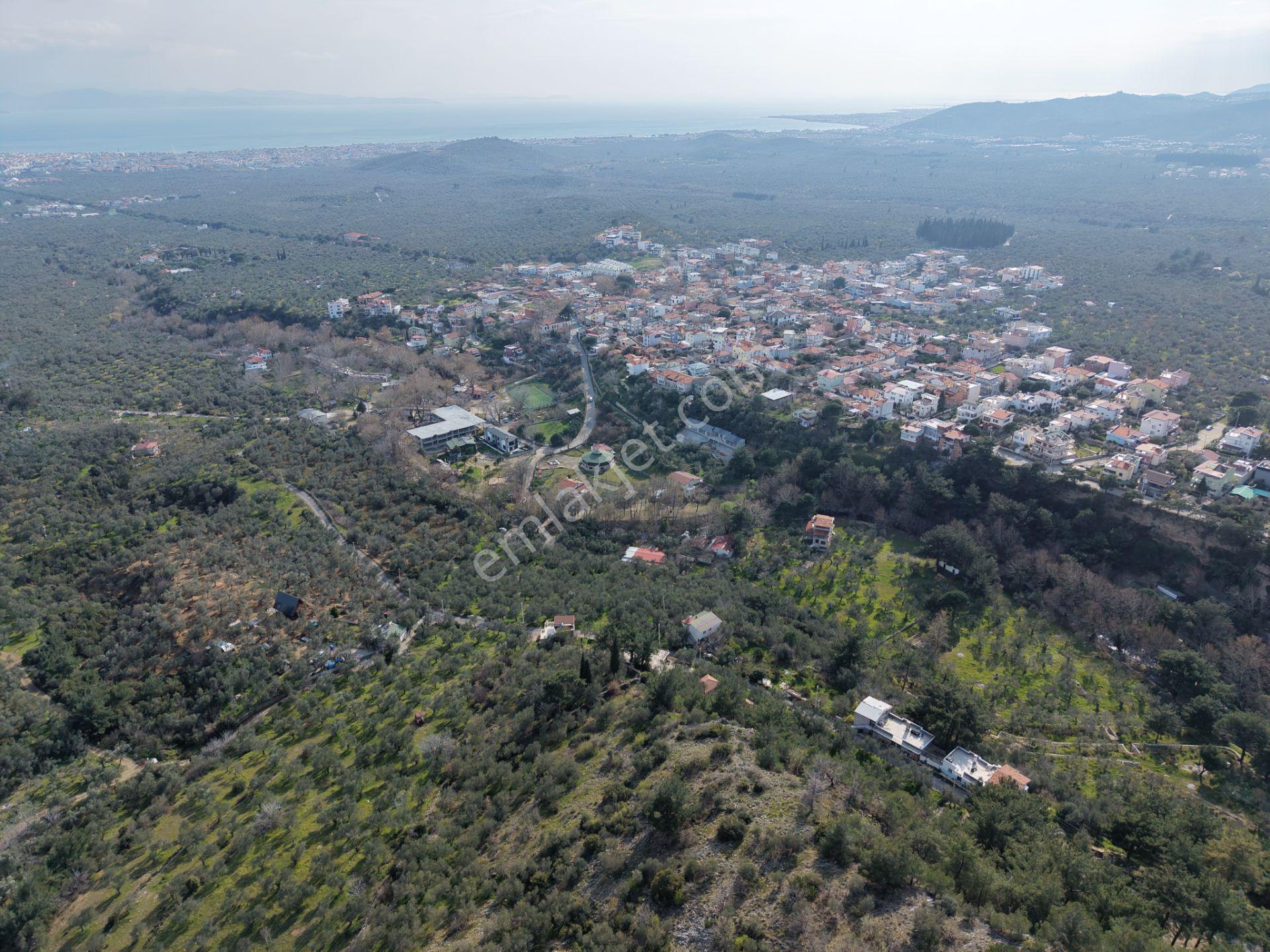▀mera Emlaktan Kızılkeçeli Köyü Müstakil 21.000m2 Zeytinlik - Görsel 28