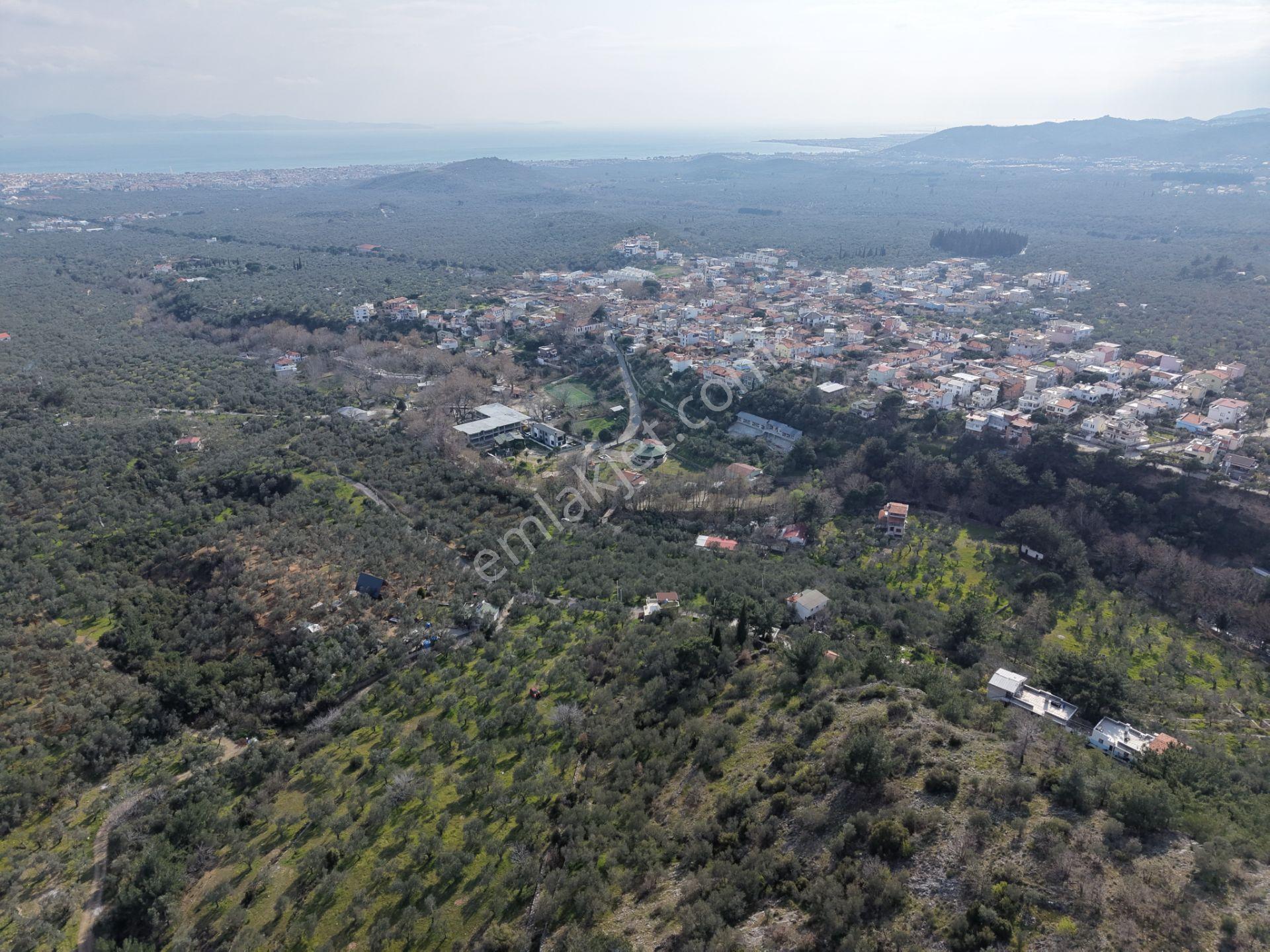 ▀mera Emlaktan Kızılkeçeli Köyü Müstakil 21.000m2 Zeytinlik - Görsel 13