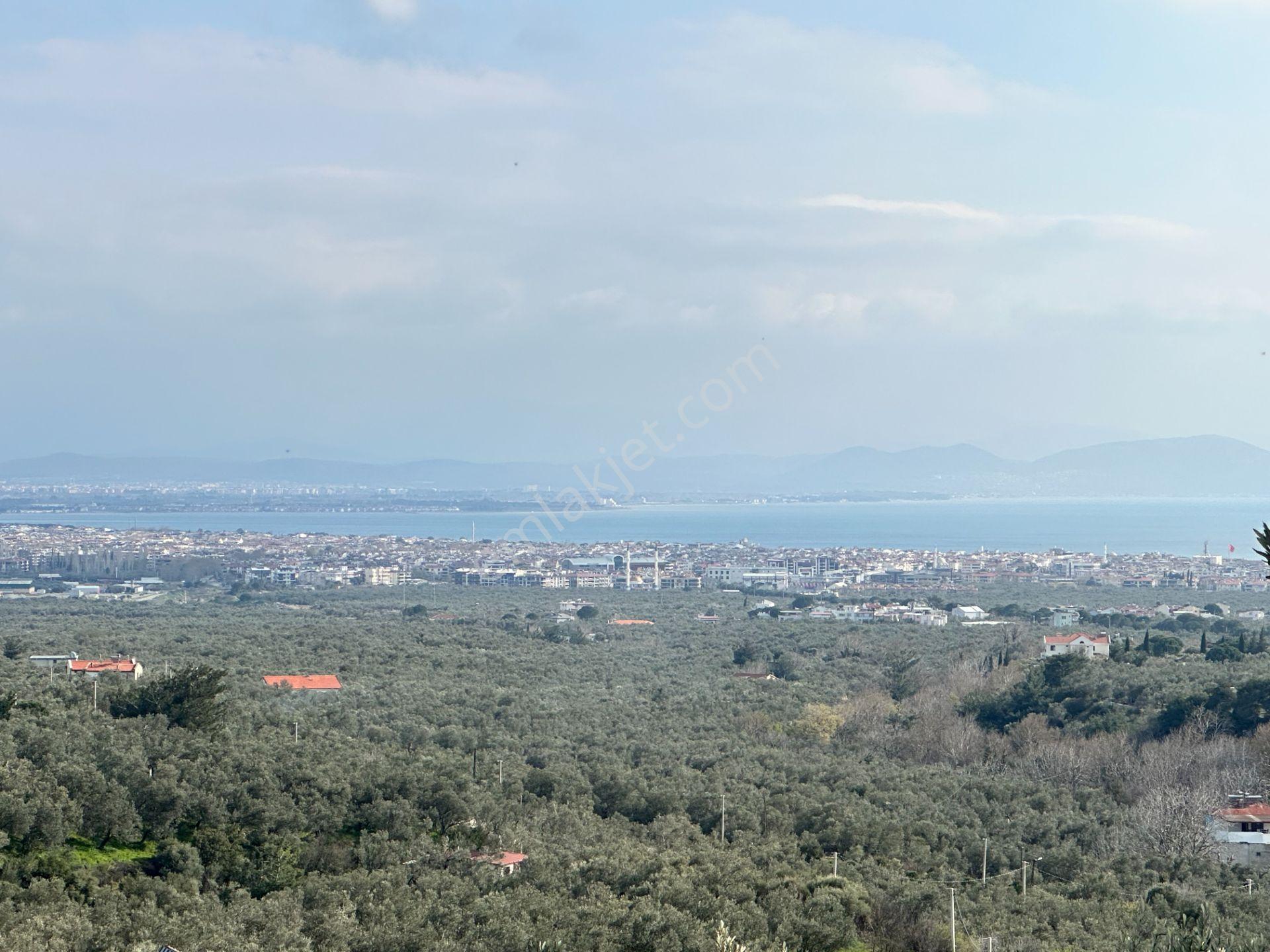 ▀mera Emlaktan Kızılkeçeli Köyü Müstakil 21.000m2 Zeytinlik - Görsel 25