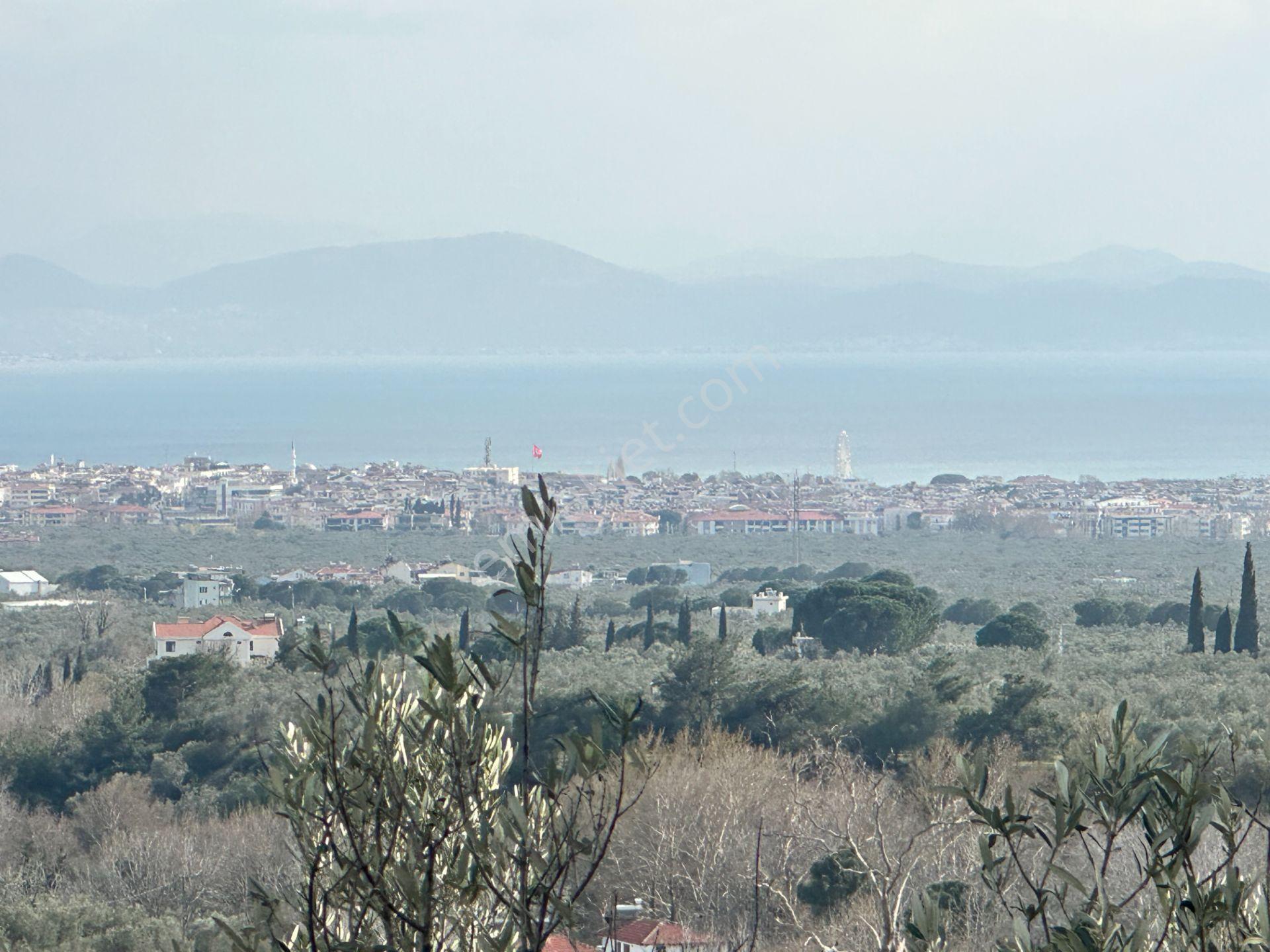 ▀mera Emlaktan Kızılkeçeli Köyü Müstakil 21.000m2 Zeytinlik - Görsel 24