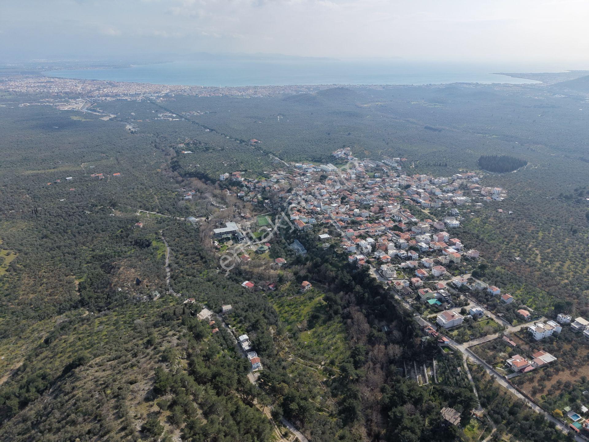 ▀mera Emlaktan Kızılkeçeli Köyü Müstakil 21.000m2 Zeytinlik - Görsel 35